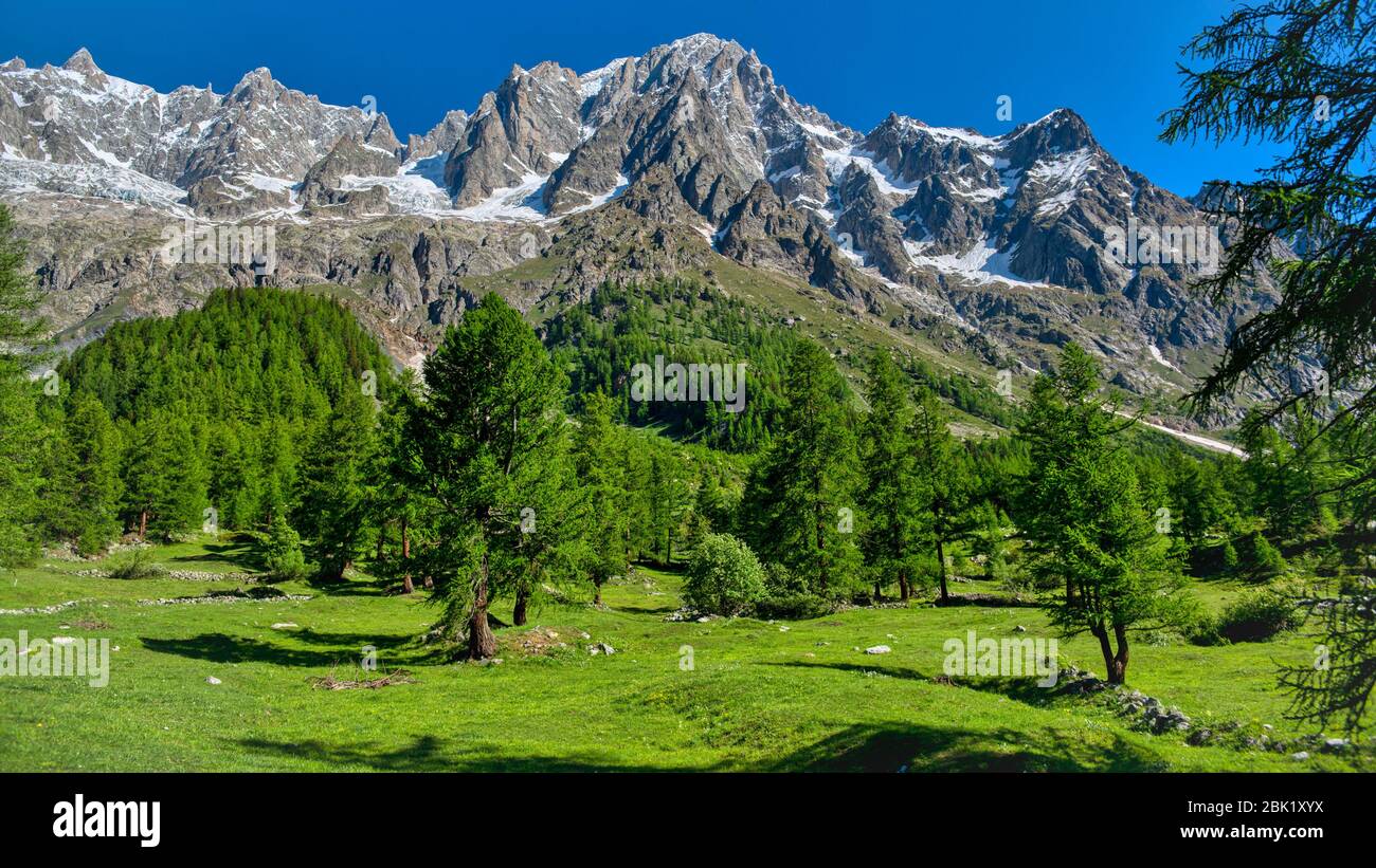 Sommer Blick auf Ferret Tal und Grandes Jorasses im Hintergrund, Aostatal in der Sommersaison Stockfoto