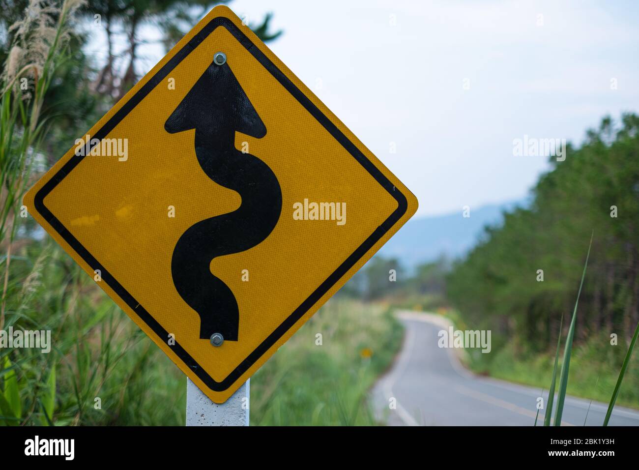 Gelbe Verkehrsschilder warnen vor kurvenreichen Straßen vor grünem Gras im Hintergrund Stockfoto