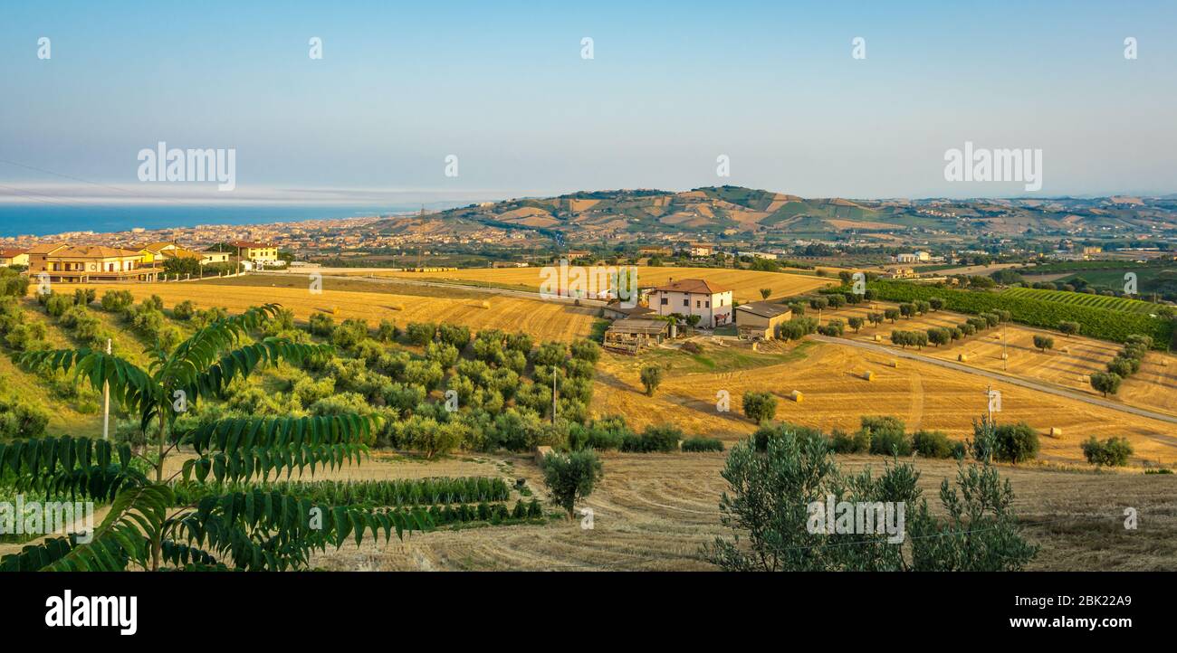 Ländliche Landschaft in den Marken in Italien bei Fermo. Sommerlandschaft Stockfoto