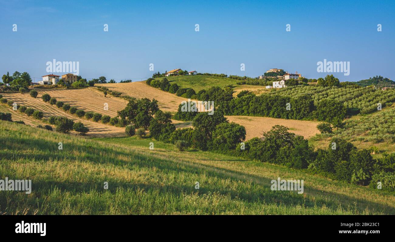 Ländliche Landschaft in den Marken in Italien bei Fermo. Sommerlandschaft Stockfoto