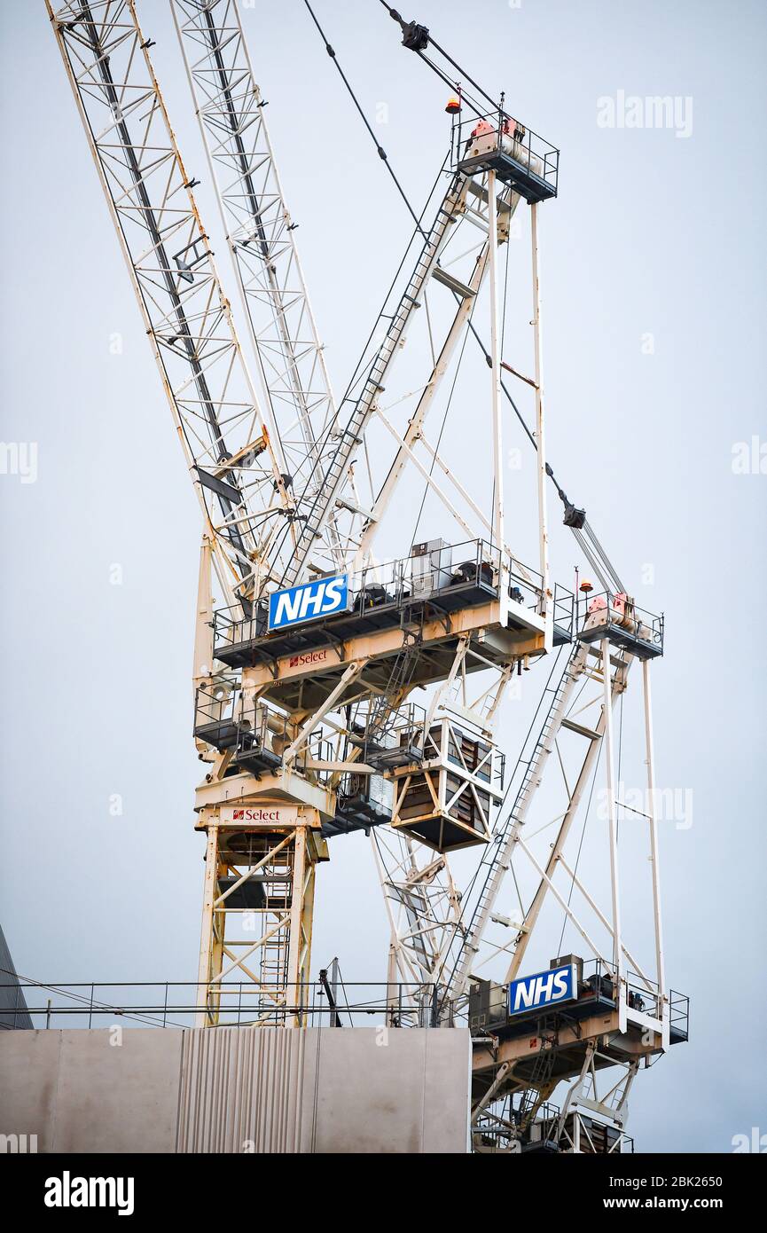 Krane arbeiten an der großen Erweiterungsentwicklung im NHS Royal County Sussex Hospital RSCH in Brighton UK Stockfoto