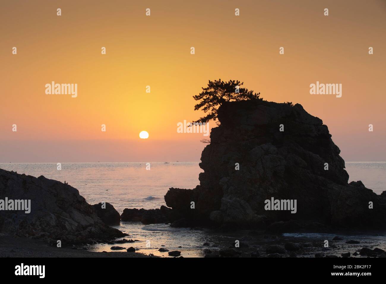 Schöne Morgenlandschaft von Felsen mit Pinien am Meer, schöne Landschaft, Ostseeseite Korea Stockfoto