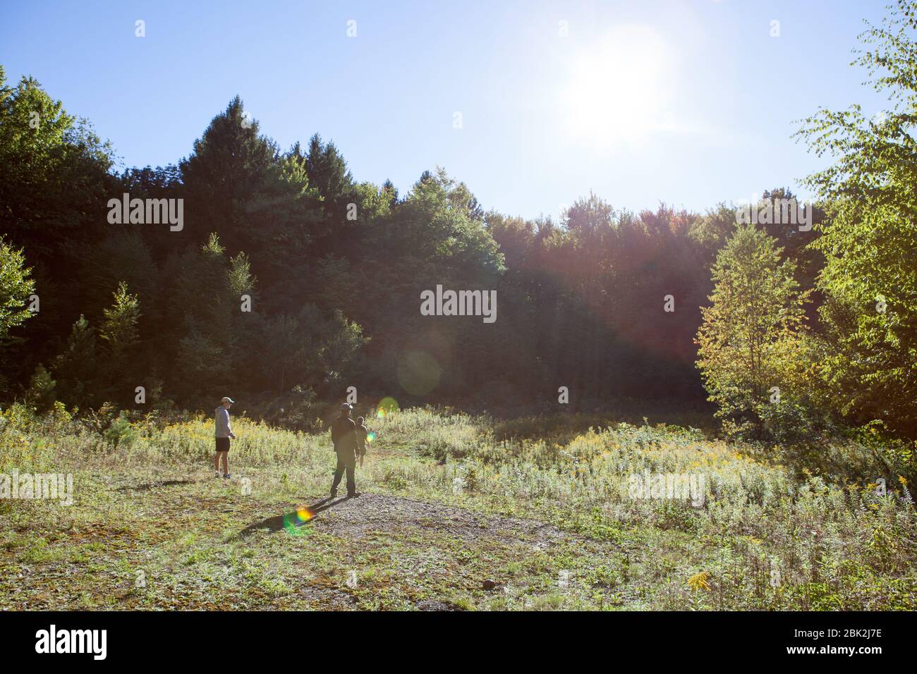 Drei Personen stehen in einer sonnendurchfluteten Lichtung, mit schattigen Bäumen im Hintergrund und einem klaren Himmel mit Sonnen- und Linsenleuchten, Dryden, NY, USA Stockfoto