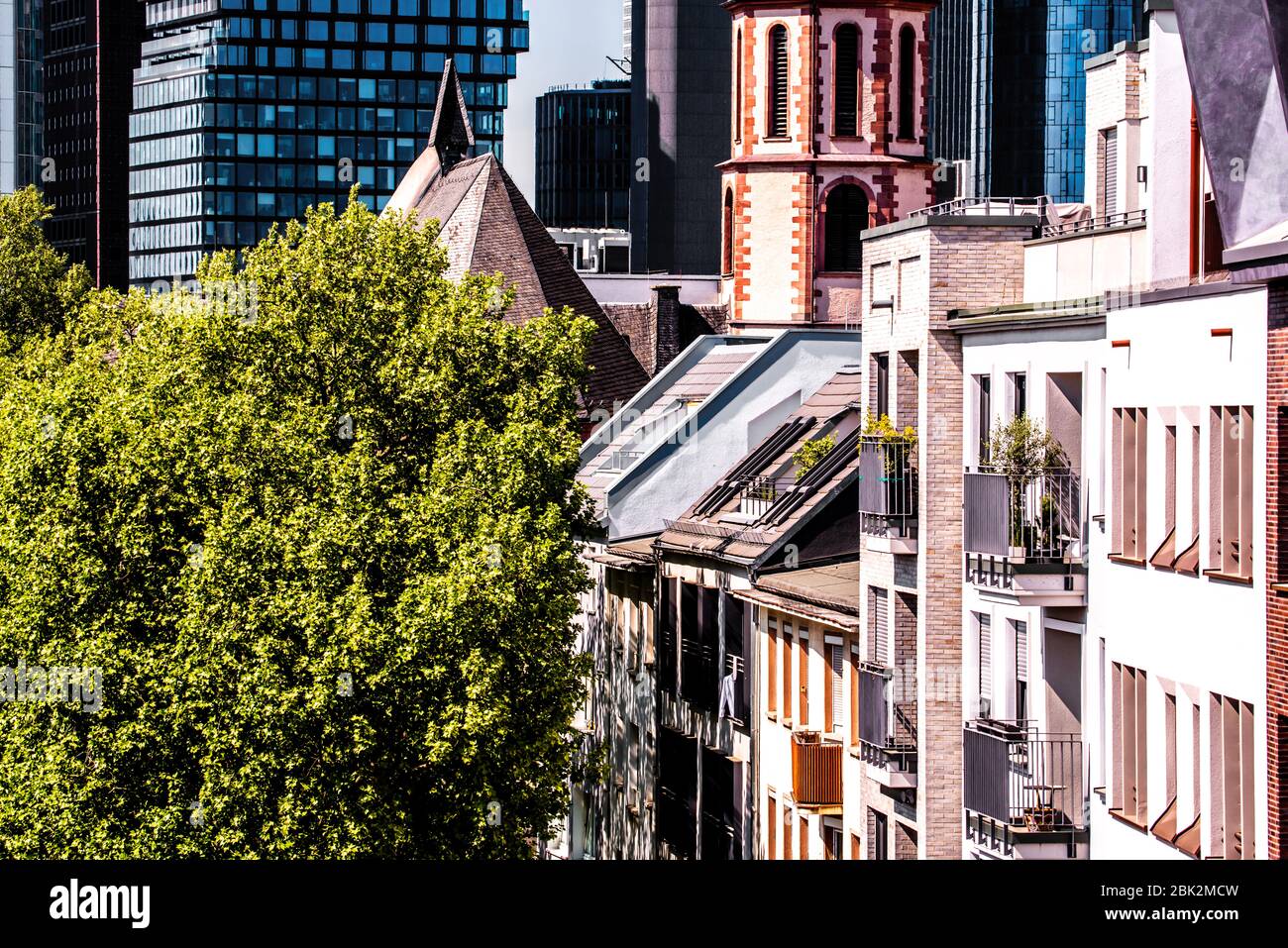 Innenstadt Frankfurt/Main mit historischer Pauls-Kirche, moderner Architektur und etwas Grün Stockfoto