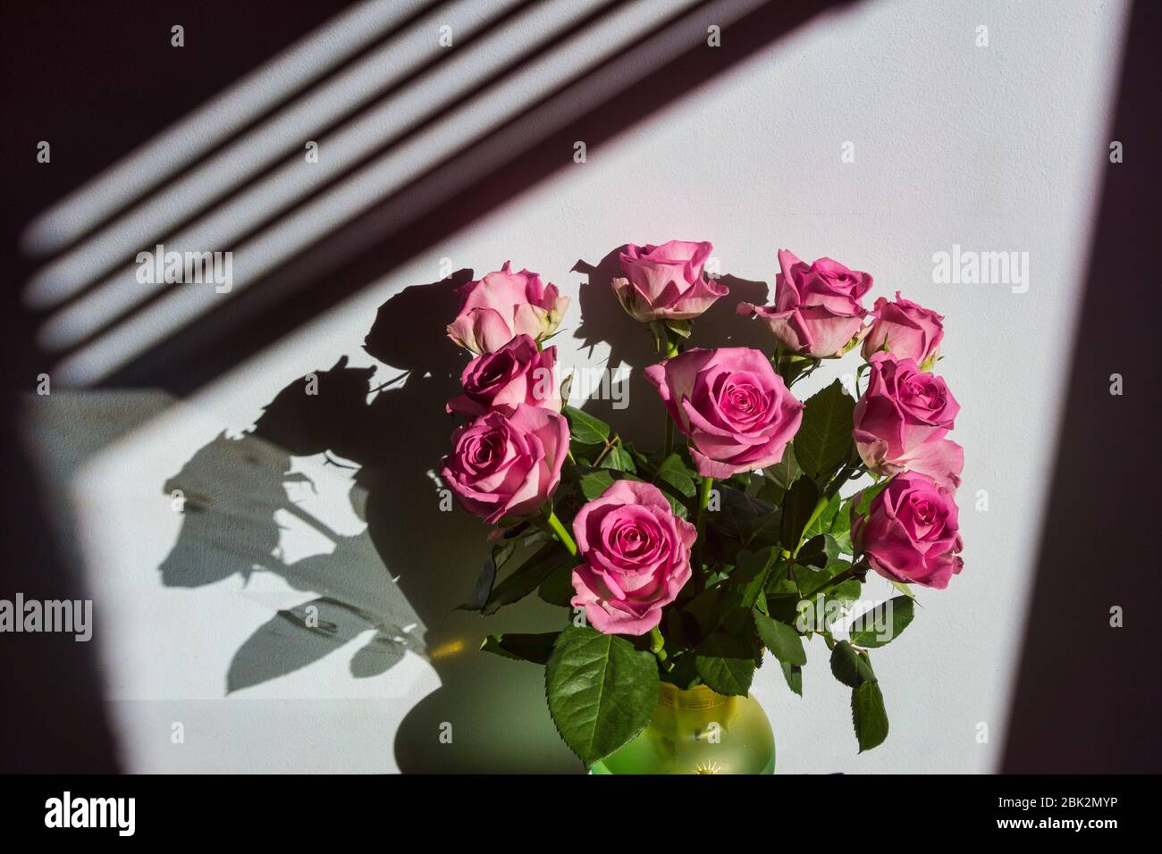 Rosen und Schatten, Blumenbild. Brillante Farben. Konzeptionell. Rot, Schattierungen, Rose Blume Köpfe Anordnung. Stockfoto