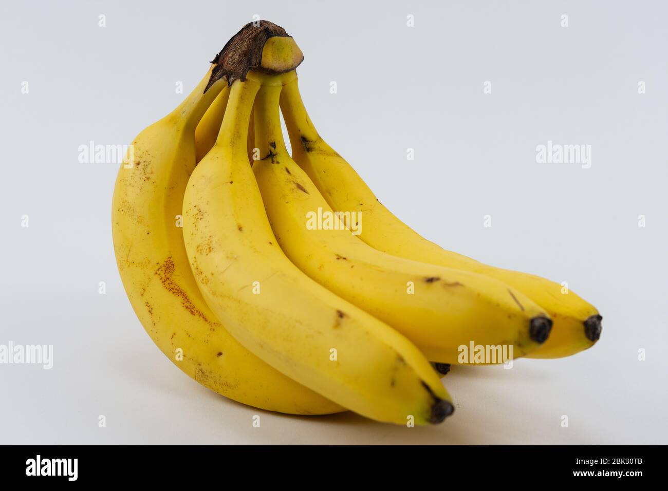 Eine mehrjährige Pflanze mit sechs reifen Bananen Stockfoto