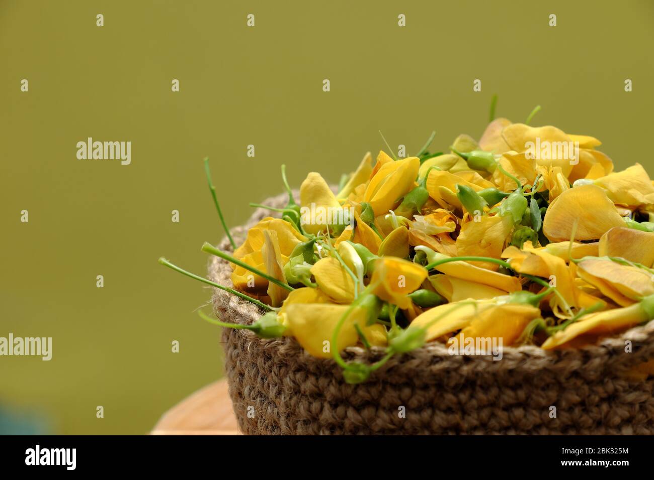 Korb mit Wildgemüse, Flussbohne mit Namen sesbania Sesban, ein typischer Rohstoff für saure Suppe in der Überschwemmungszeit am Mekong Delta, Vietnam Stockfoto