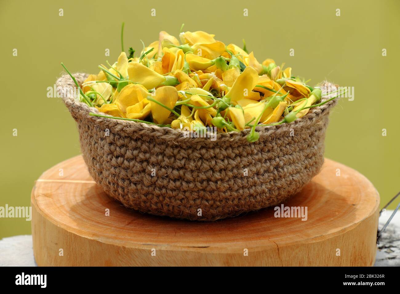 Korb mit Wildgemüse, Flussbohne mit Namen sesbania Sesban, ein typischer Rohstoff für saure Suppe in der Überschwemmungszeit am Mekong Delta, Vietnam Stockfoto