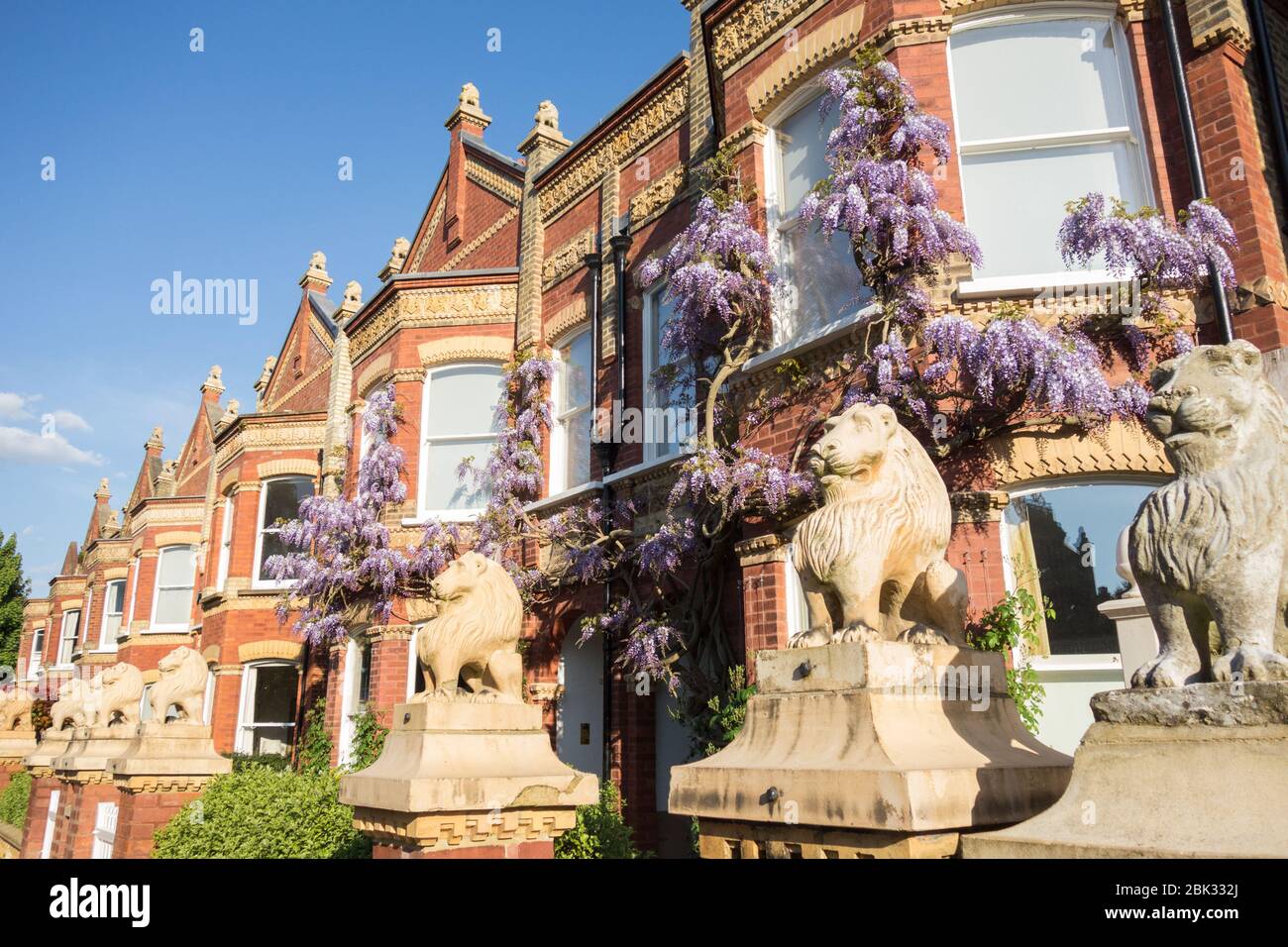 Löwenstatuen auf den Giebeln und Pfosten der Wisteria Clad Lion Houses in Barnes, London, SW13, Großbritannien Stockfoto