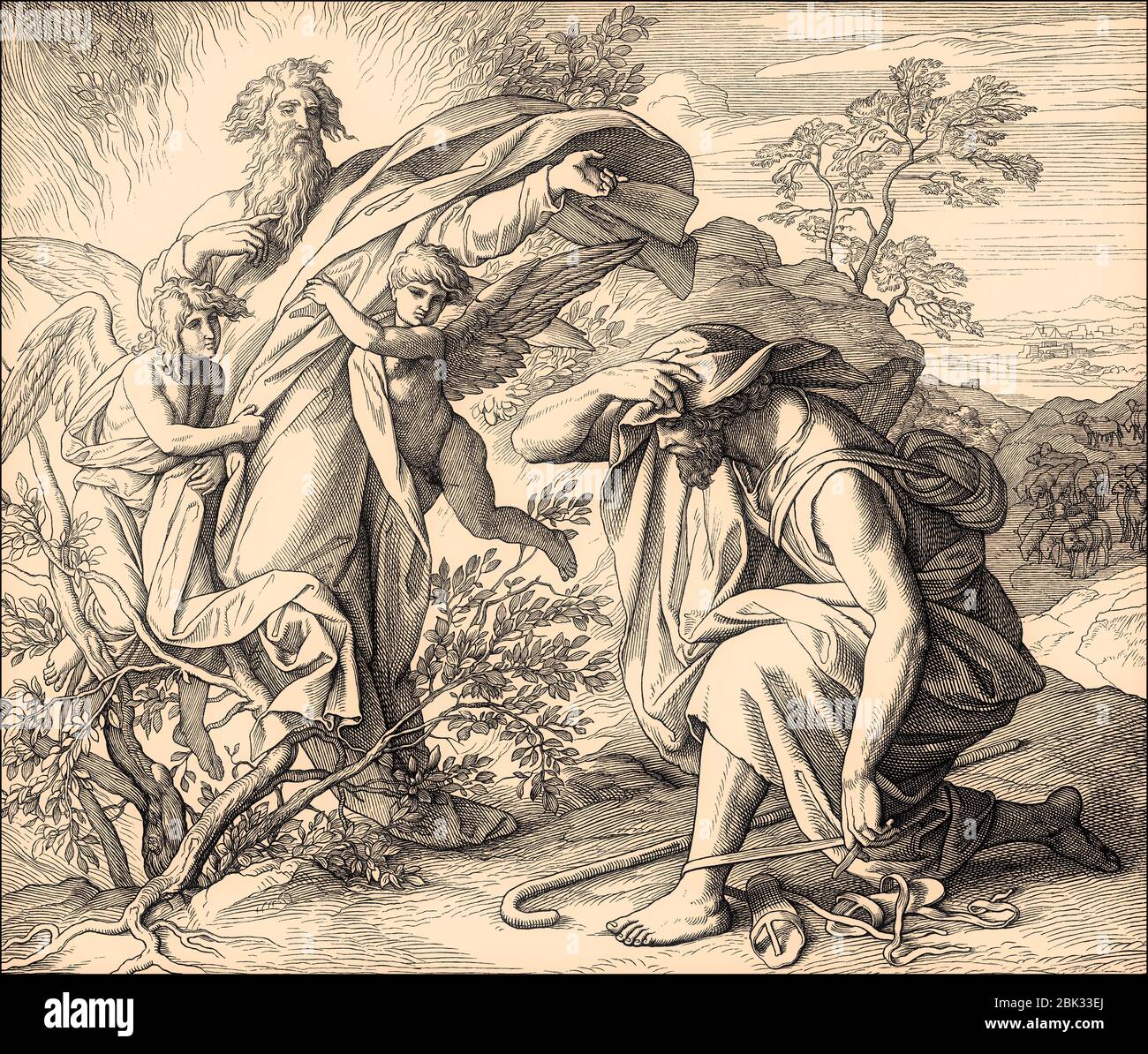 Busch Mosen Stockfotos Und Bilder Kaufen Alamy