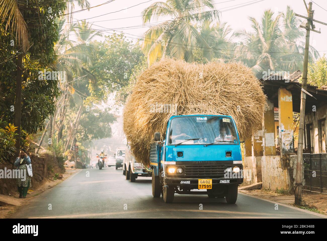 Cuncolim, Goa, Indien - 16. Februar 2020: Lkw Trägt Hay Und Bewegt Sich Auf Der Straße. Stockfoto