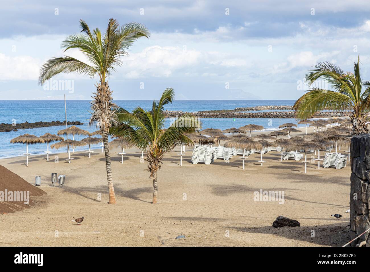 Leerer Strand, playa del duque, in den touristischen Feriengebieten von Costa Adeje, Teneriffa, Kanarische Inseln, Spanien Stockfoto