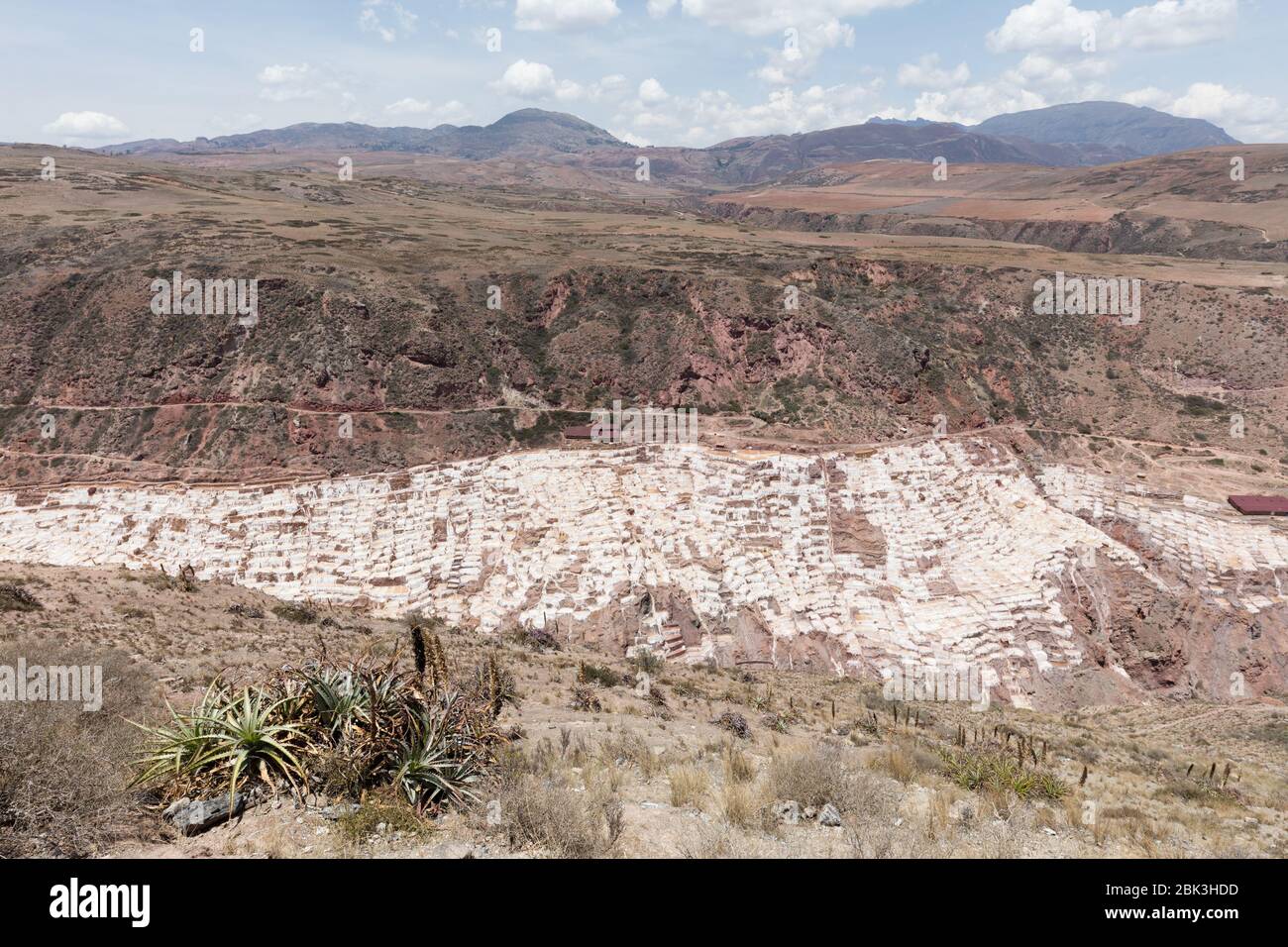 Das Salz verdampft Teich bei Maras (Salinas de Maras) in der Nähe von Cusco, Peru Stockfoto