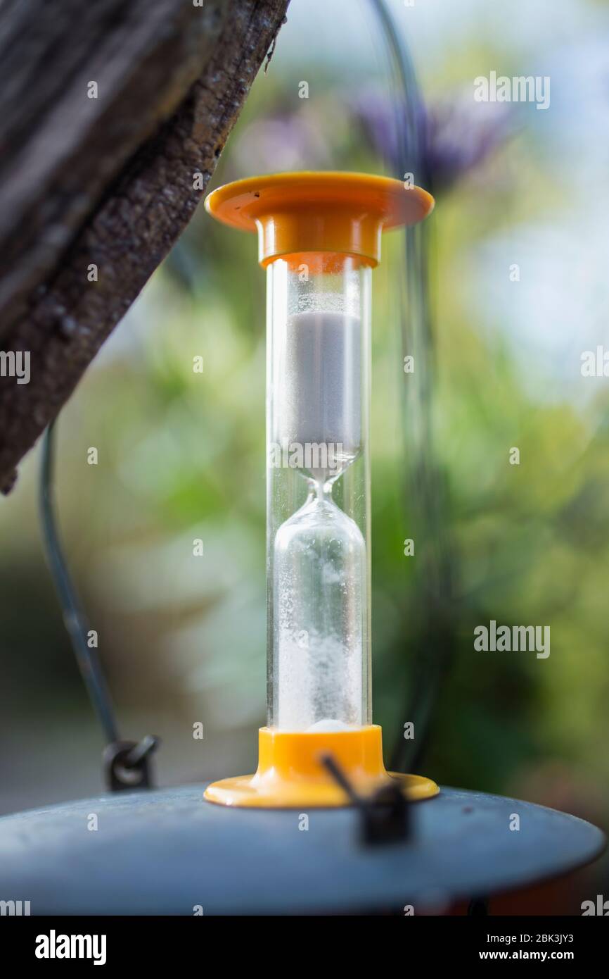 Brettspiel-Timer draußen Stockfoto