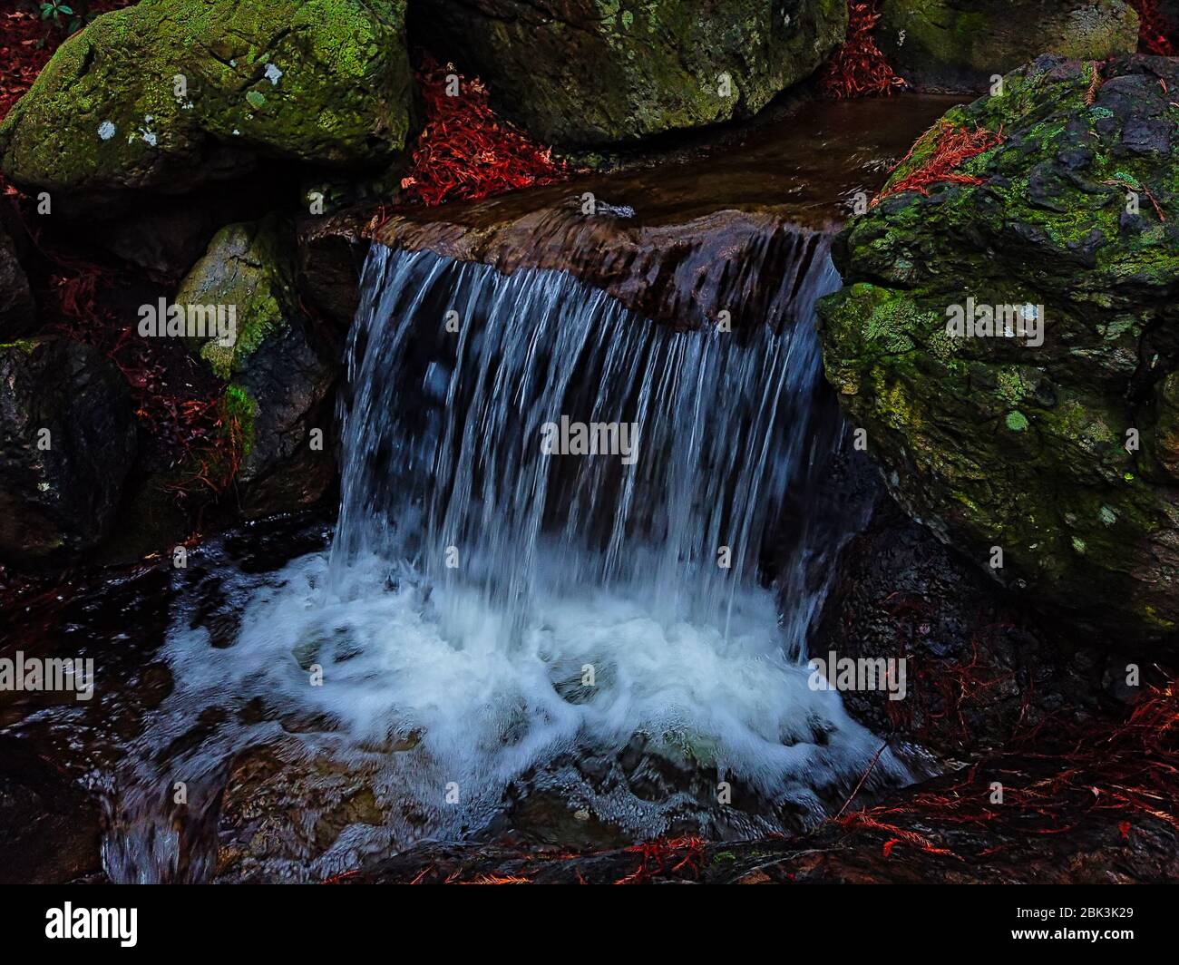 Schöner künstlicher Wasserfall auf einem kleinen See im japanischen Garten. Stockfoto