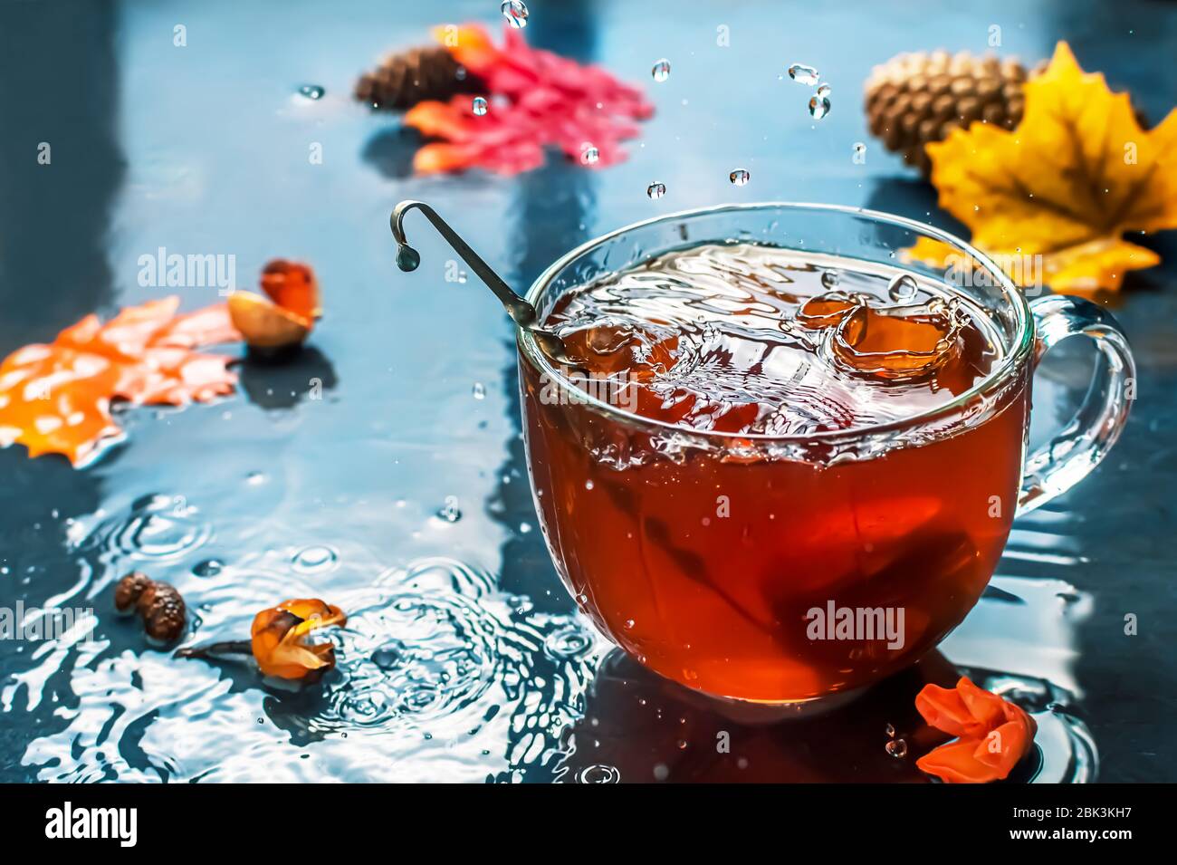 Herbsttee in einem transparenten Becher. Blätter. Regentropfen. Schöne atmosphärische Herbstkarte Stockfoto