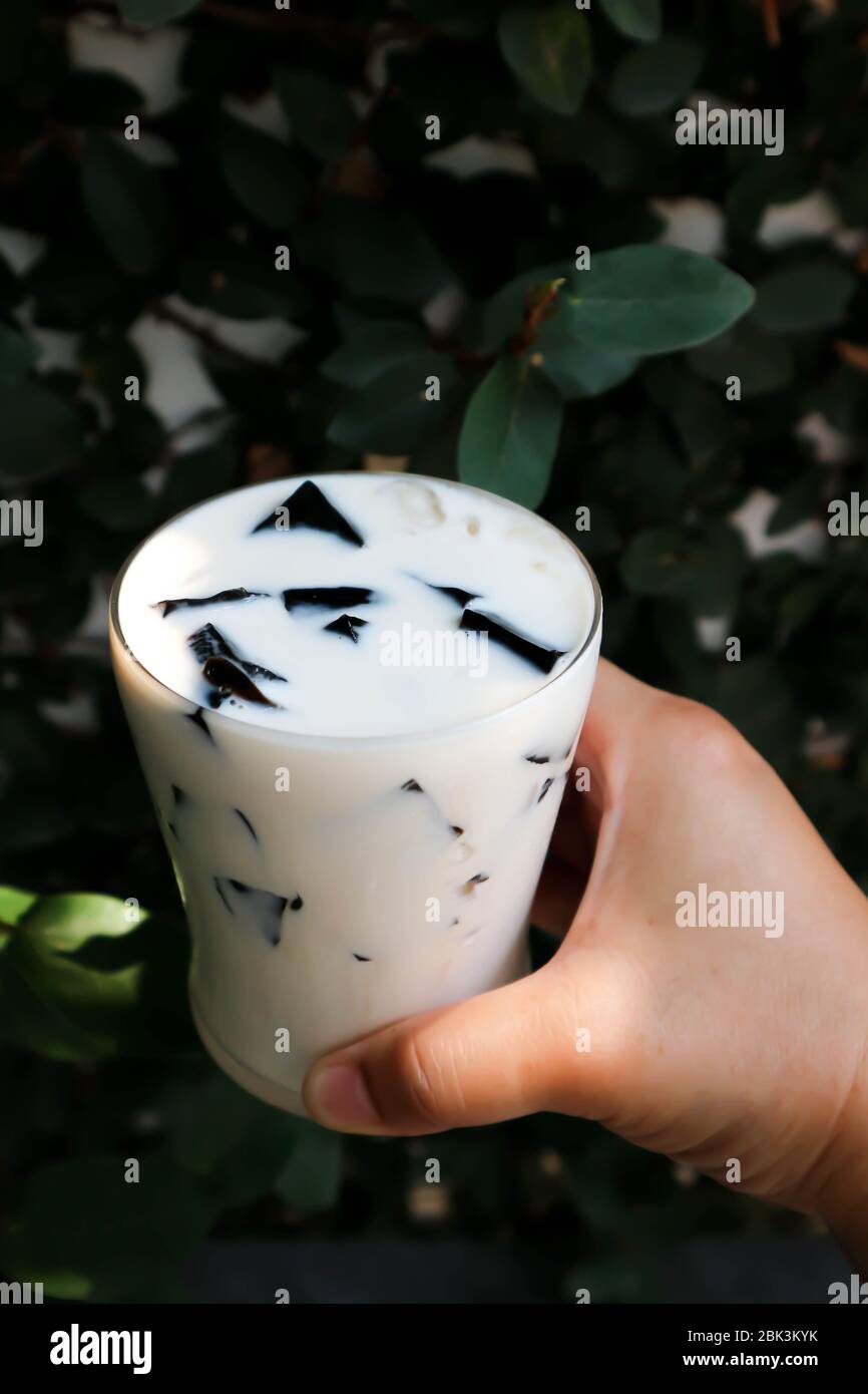 Milch mit Gelee, Gelée Milch Tee in der Draufsicht Stockfoto