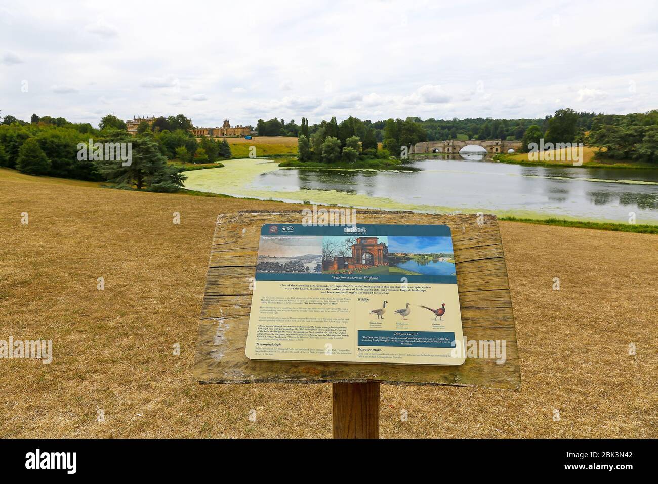 Die Grand Bridge von Vanbrugh im Great Lake von Capability Brown im Blenheim Park im Blenheim Palace, Woodstock, Oxfordshire, England, Großbritannien Stockfoto