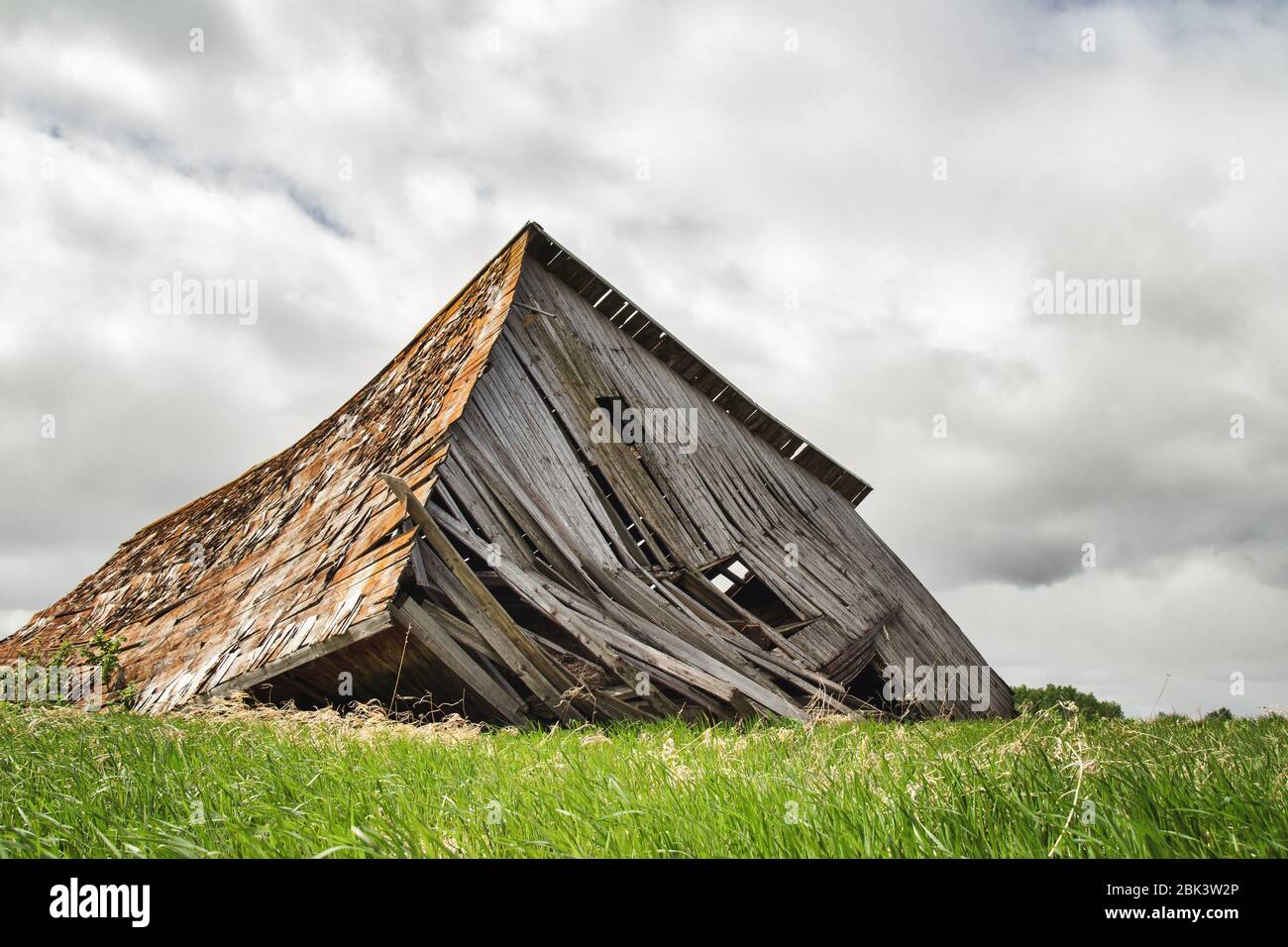 Ein alter grauer Schuppen aus Holzlatten brach auf grünem Gras in einer sommerlichen Landschaft zusammen Stockfoto