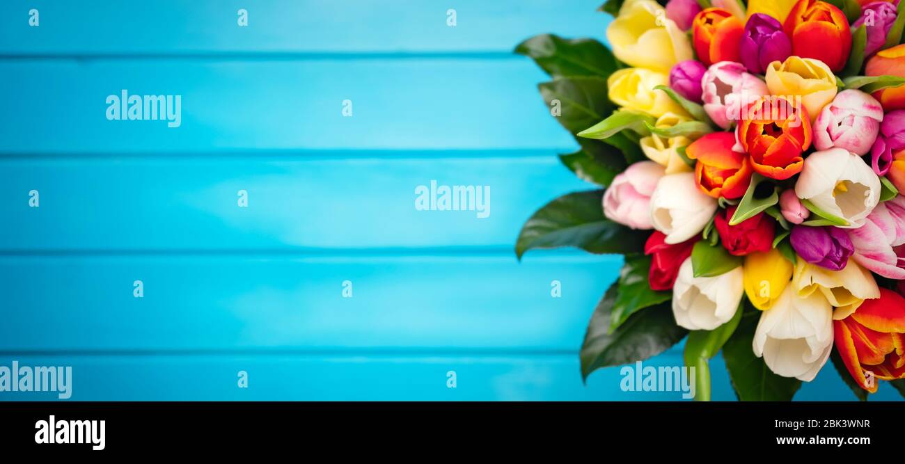 Buntes Bouquet von Tulpen auf blauem Holzhintergrund. Frühlingsblumen. Grußkarte mit Kopierfläche für Valentinstag, Frauentag und Muttertag. Stockfoto