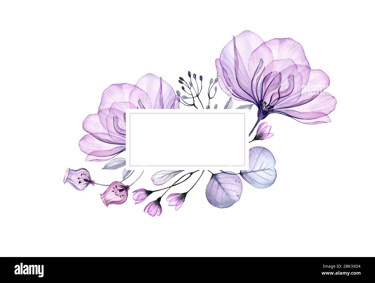 Wasserfarbenes Blumenbanner. Große lila Rose. Horizontaler Rahmen und Platz für Text. Abstrakter Hintergrund für Logo. Isolierte handgezeichnete Illustration für Stockfoto