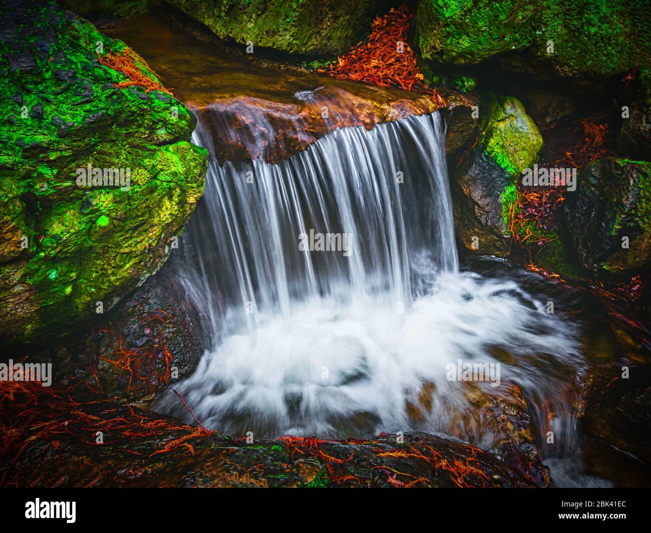 Kleiner schöner Wasserfall mit verschwommenem Wasser im Garten. Landschaftsgestaltung des japanischen Gartens. Wunderschöne Landschaft mit kleinem Teich und Wasserfall. Stockfoto