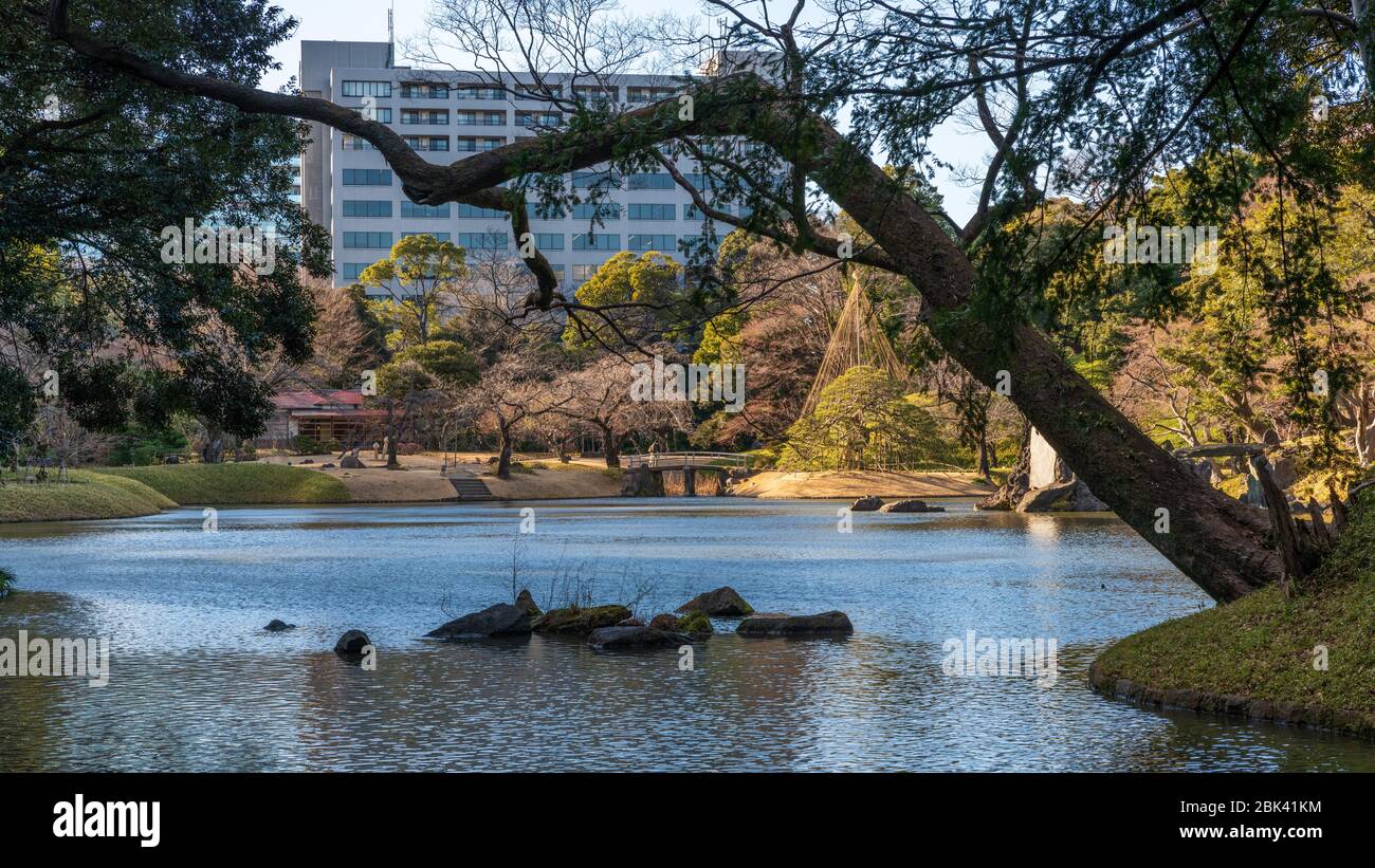 Koishikawa Korakuen Gärten im Februar, Tokio, Japan Stockfoto
