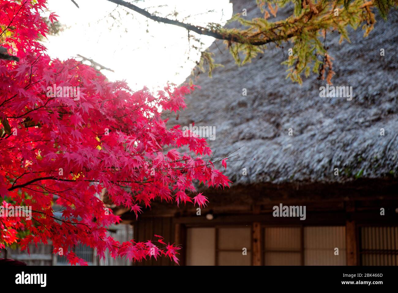 Historisches Dorf Shirakawago in Japan Stockfoto