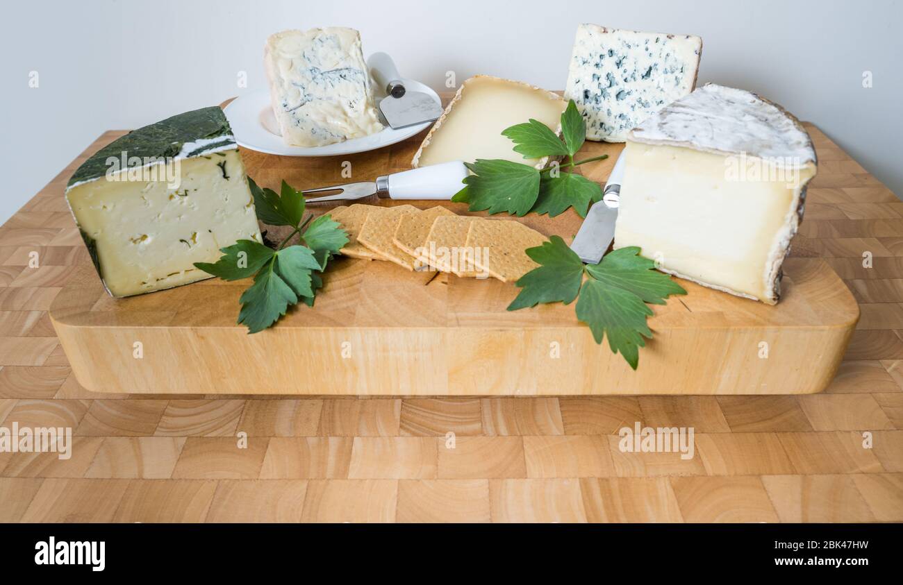 Käseplatte Präsentation von Lebensmitteln von handwerklichen feinen Käse: Garlic Garg, Gorgonzola, Ossau Iraty, Blue d'Auvergne und Gorwydd Caerphilly Käse Stockfoto