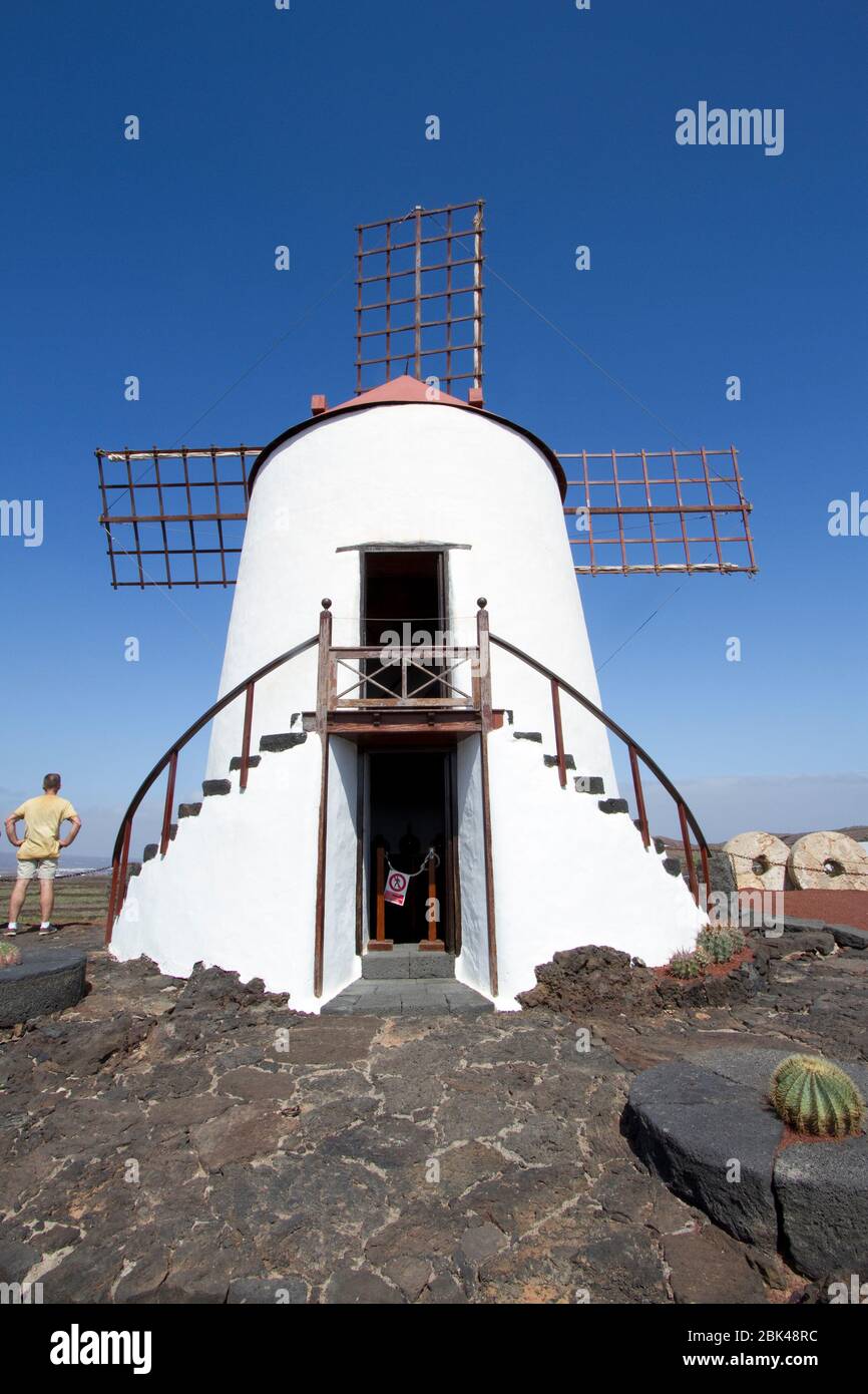 Cactus Garden von Cesar Manrique, Guatiza, Lanzarote, Kanarische Inseln, Spanien. Stockfoto