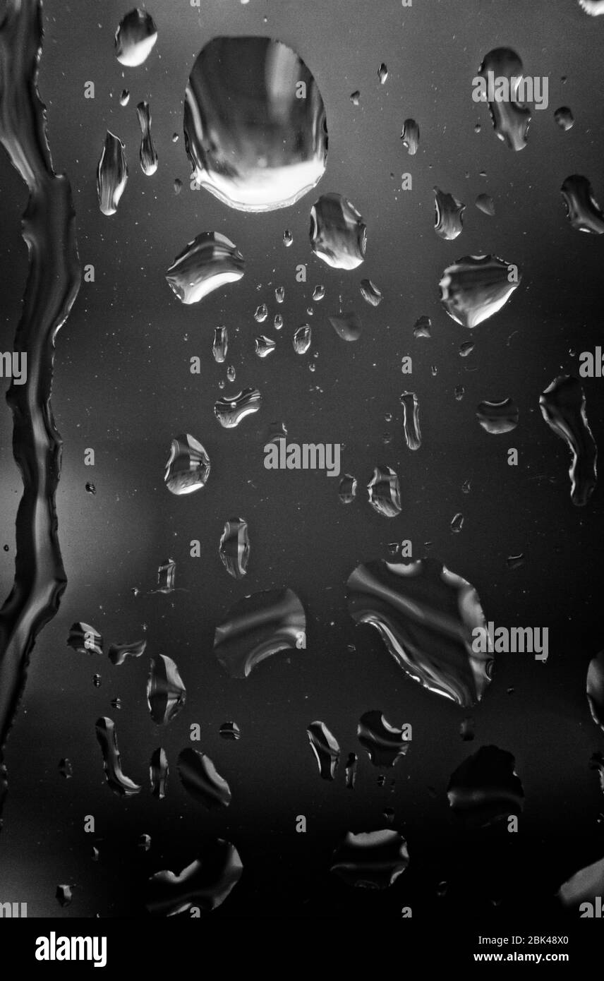 Nahaufnahme Makro-monochromes Bild von Regentropfen auf einer klaren Glasscheibe. Stockfoto