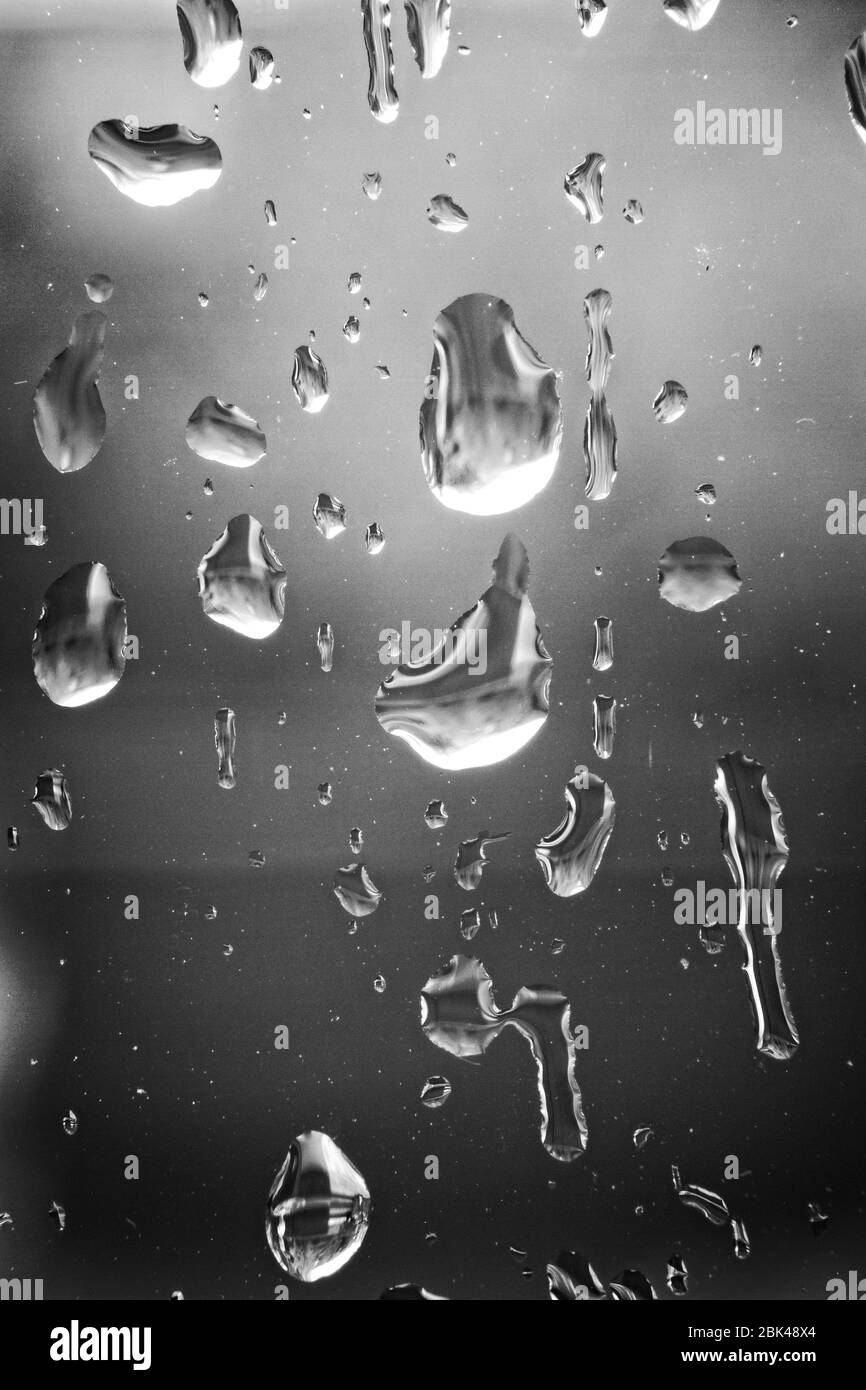 Nahaufnahme Makro-monochromes Bild von Regentropfen auf einer klaren Glasscheibe. Stockfoto