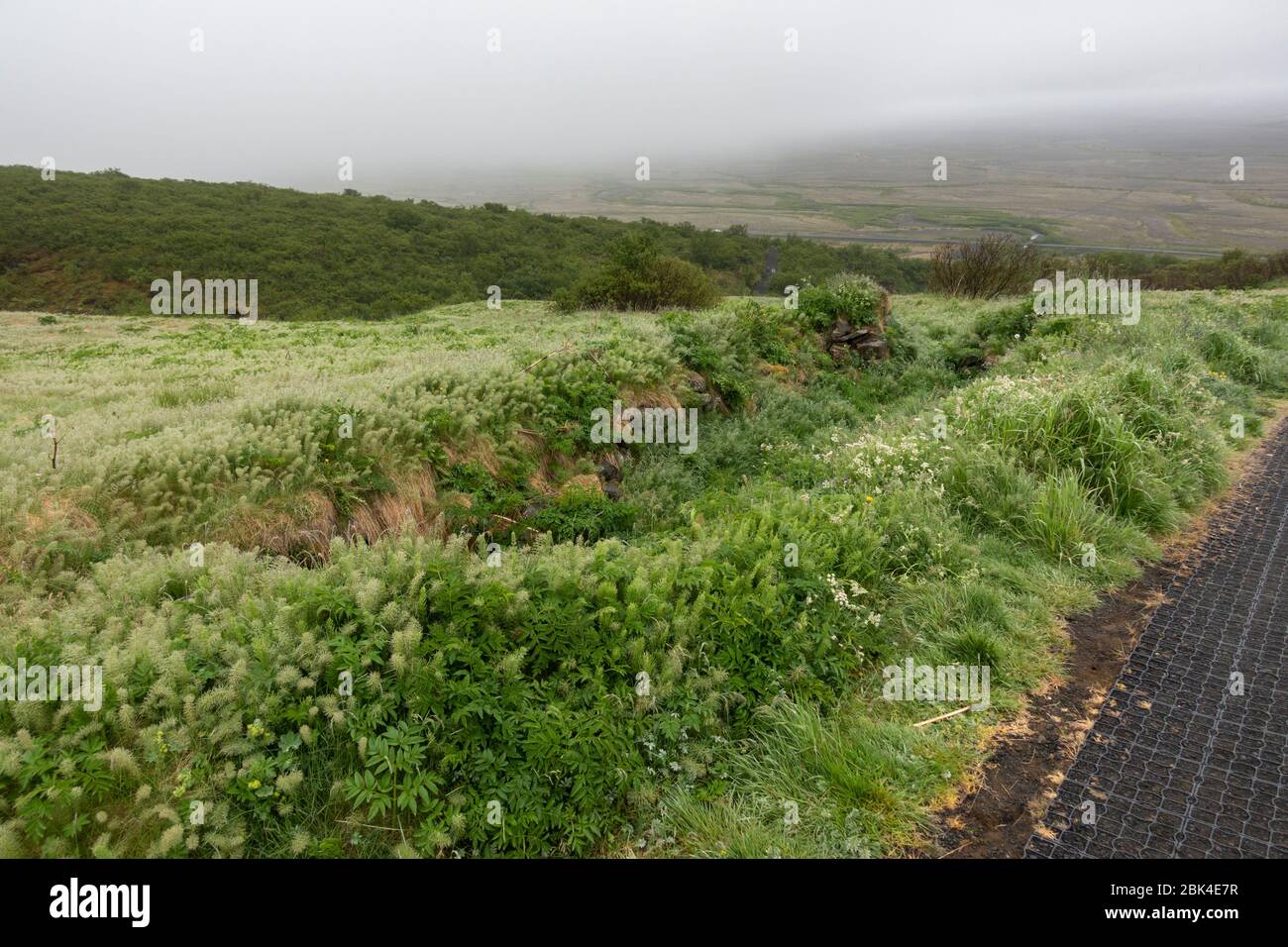 Bauruinen auf dem Parth bis Svartifoss, Skaftafell, Vatnajökull Nationalpark, Südisland. Stockfoto