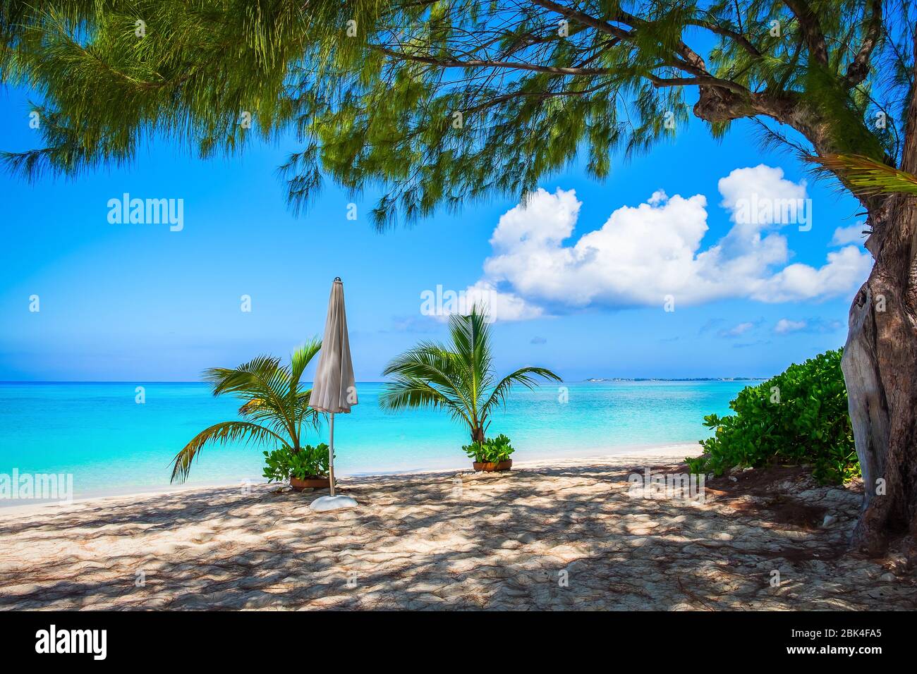 Kleine Palmen in Töpfen und ein naher weißer Sonnenschirm an einem leeren Seven Mile Beach während der Gefangenschaft auf den Cayman Islands Stockfoto