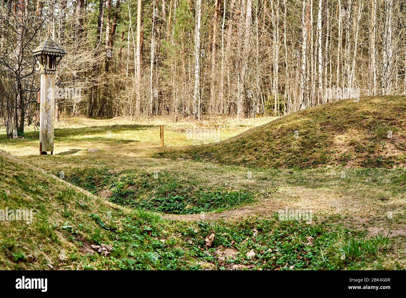 Holzdenkmal im Wald in der Nähe von kleinen Erdpfählen Stockfoto