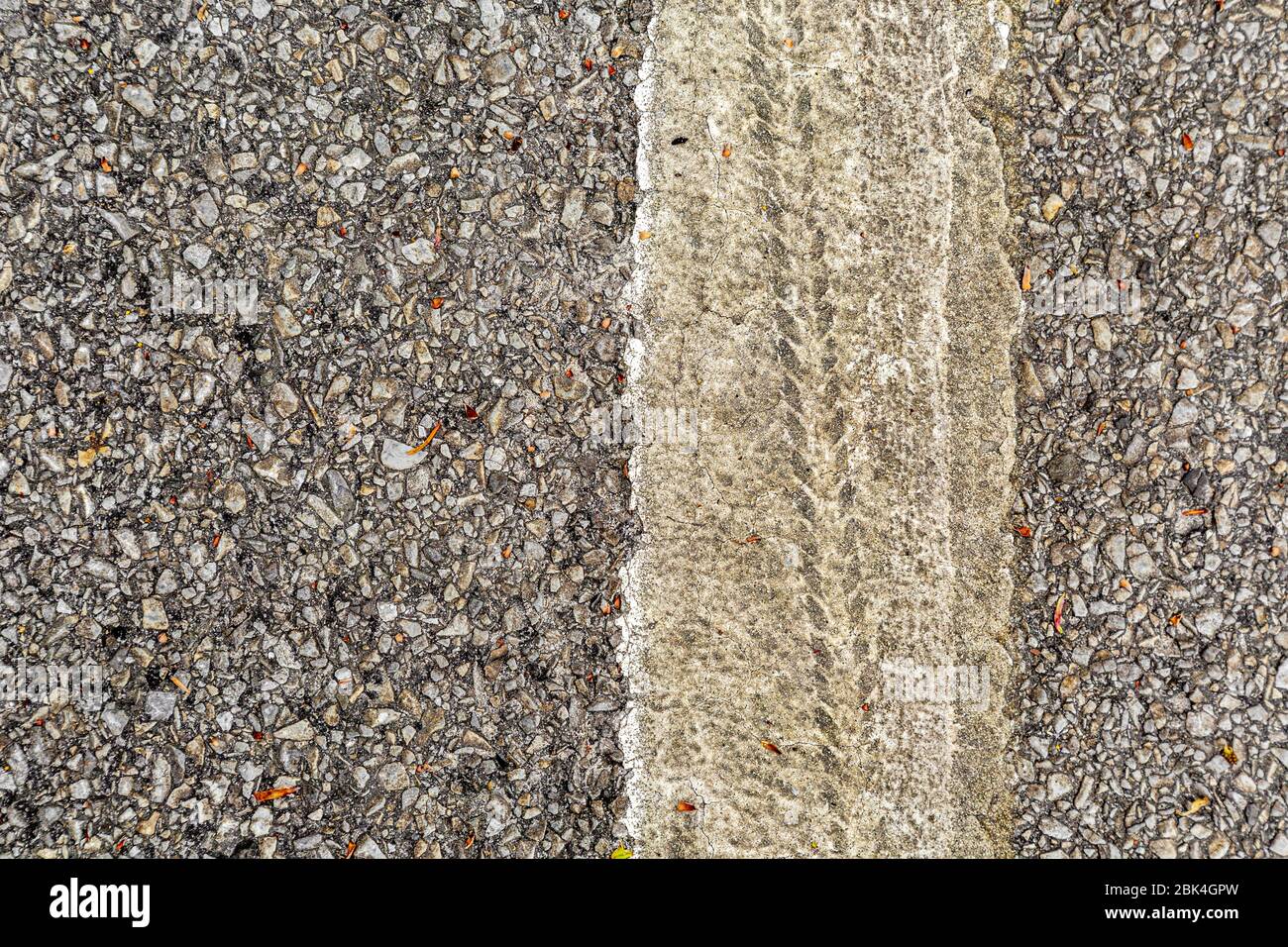 Nahaufnahme eines weißen Streifens auf einer Asphaltstraße mit einem Fahrradreifenabdruck Stockfoto