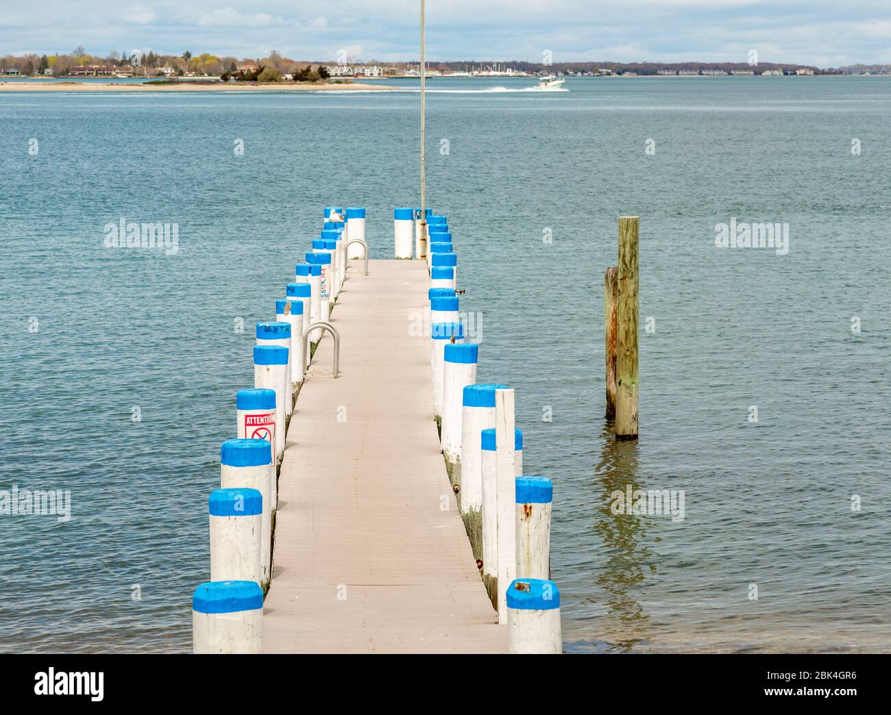 Blaue Kappen auf weißen Pilings auf einem Dock auf Shelter Island, NY Stockfoto