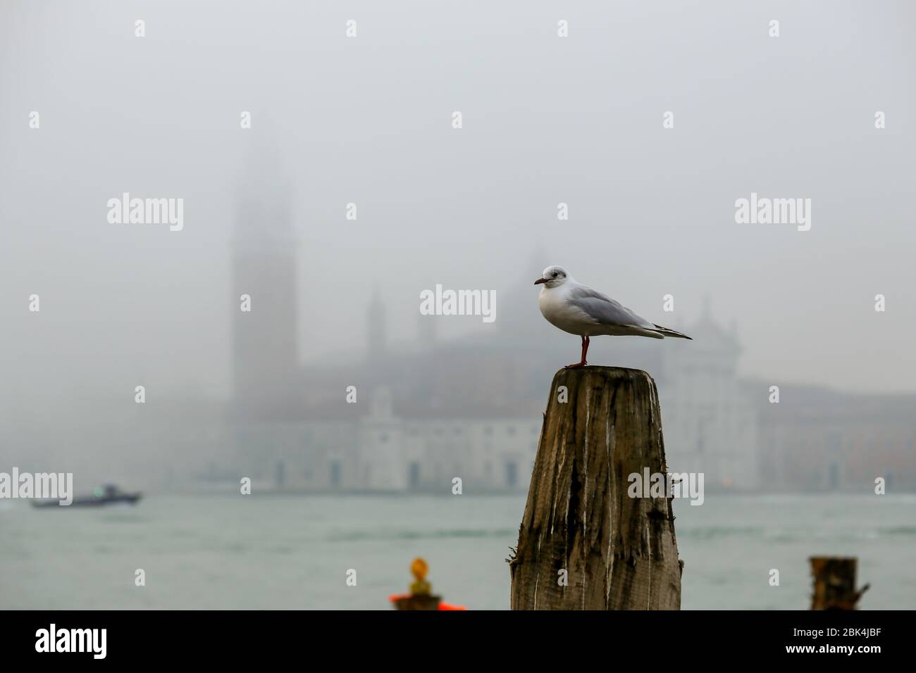 venedig, Italien-februar 23.2020: Morgen nebligen Tag vor Covit 19 Pandemie Stockfoto