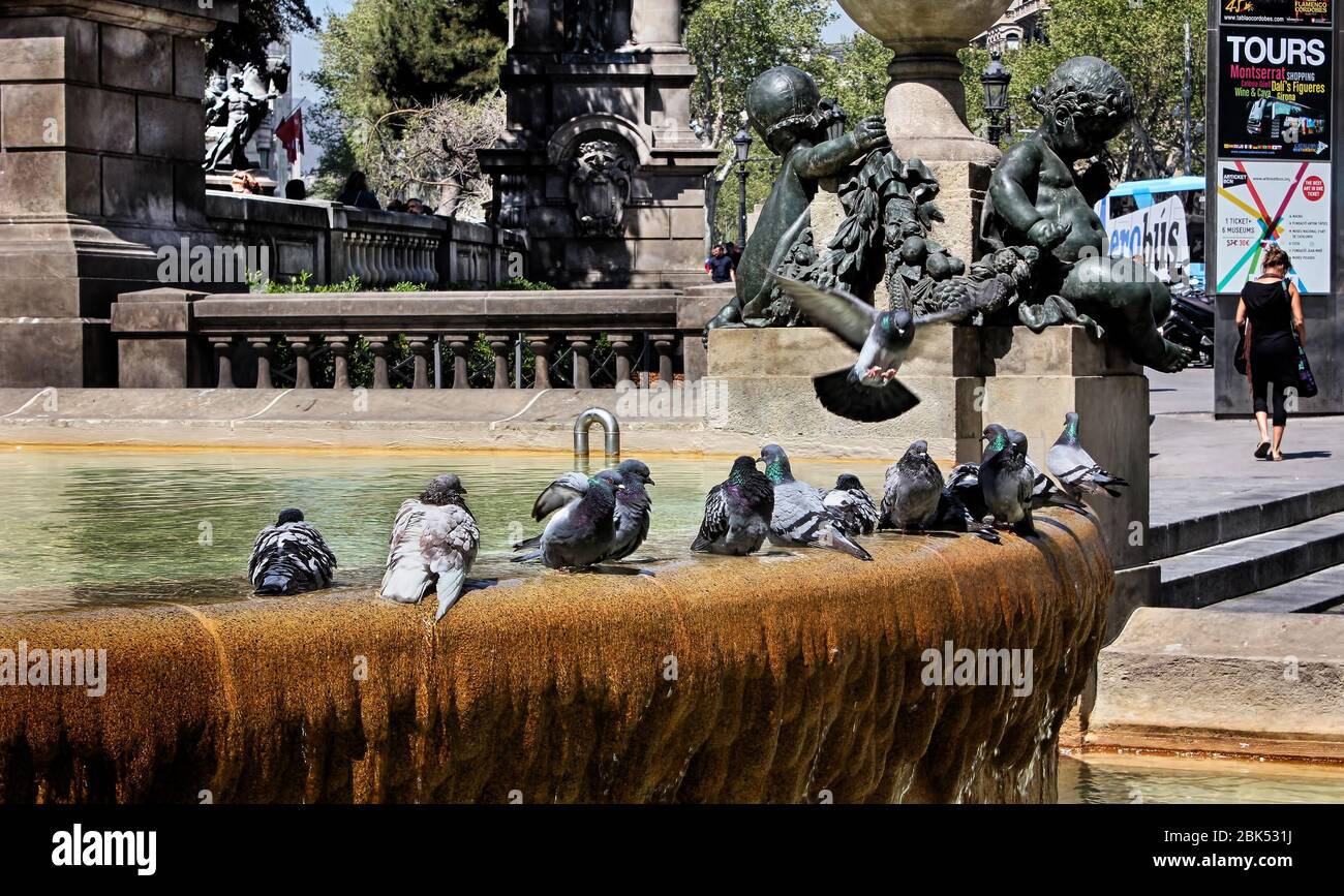 Plaça de Catalunya (Katalonien-Platz oder Plaza de Cataluña) mit Wasserbrunnen, Tauben, Skulpturen, Architektur in Barcelona, Katalonien, Spanien. Stockfoto