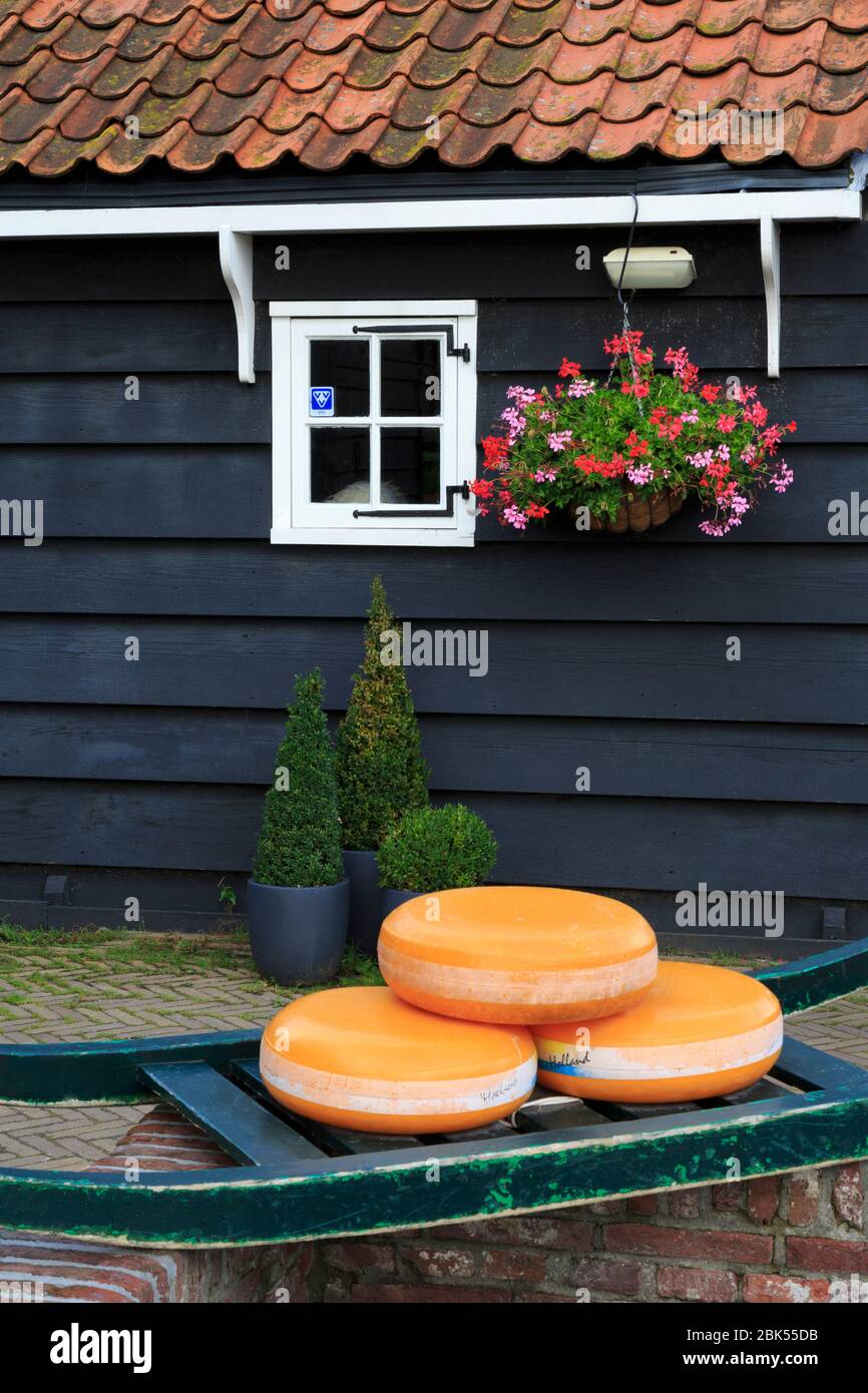 Cheese, Zaanse Schans Historical Village, Zaandam, Niederlande Stockfoto