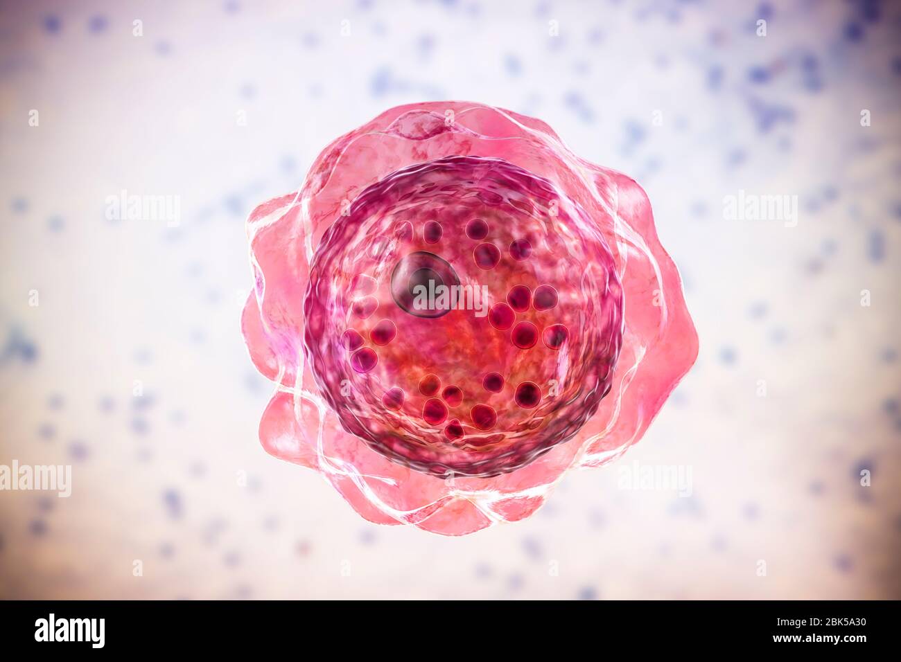 Balamuthia mandrillaris amoeba, Computerdarstellung. Dies ist die infektiöse Form des Organismus, die Zyste. B. mandrillaris, ein freilebender einzelliger Organismus, kommt in Wasser und Boden in gemäßigten Regionen vor. Infektionen sind selten, aber es kann die Krankheit granulomatöse amöbische Enzephalitis (GAE) des Gehirns verursachen, mit ist fast immer tödlich. Stockfoto