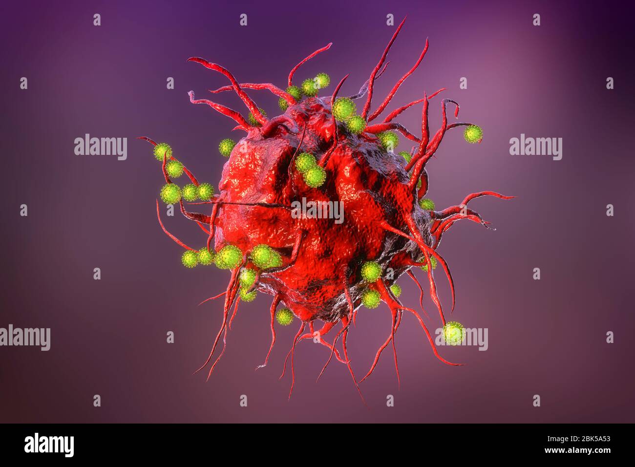 SARS-CoV-2 Viren und Immunzellen. Konzeptionelles Bild zur Darstellung der antiviralen Immunität und Impfung. Stockfoto