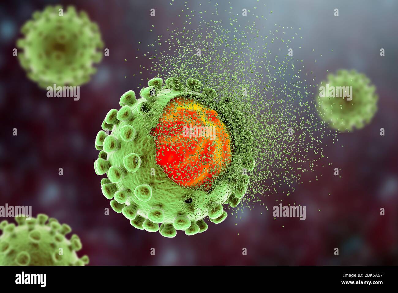 Ausrottung des Kovid-19-Coronavirus, konzeptionelle Abbildung. Im Dezember 2019 entstand im chinesischen Wuhan das neue Coronavirus SARS-COV-2 (zuvor 2019-COV). Das Virus verursacht eine leichte Atemwegserkrankung (Covid-19), die sich zu einer Lungenentzündung entwickeln und in einigen Fällen tödlich sein kann. Die Coronaviren nehmen ihren Namen aus ihrer Krone (Corona) von Oberflächenspitzenproteinen (große hervorstehende Teile), die dazu dienen, ihre Wirtszellen anzubringen und zu durchdringen. Stockfoto