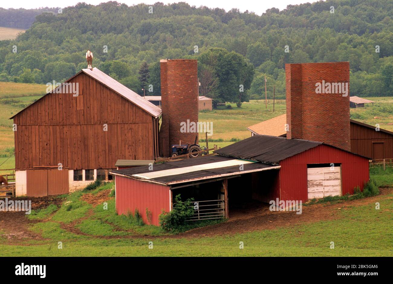 Scheune auf Badger Hill Rd, Butler County, Pennsylvania Stockfoto