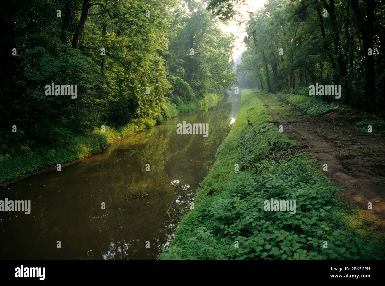 Delaware River Canal, Delaware Canal State Park, Pennsylvania Stockfoto