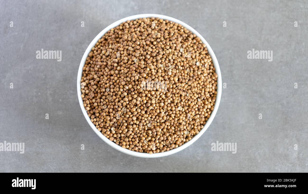 Koriander Seeds Bowl Top Ansicht neutraler Hintergrund mit negativem Platz zum Hinzufügen von Bildunterschriften Stockfoto