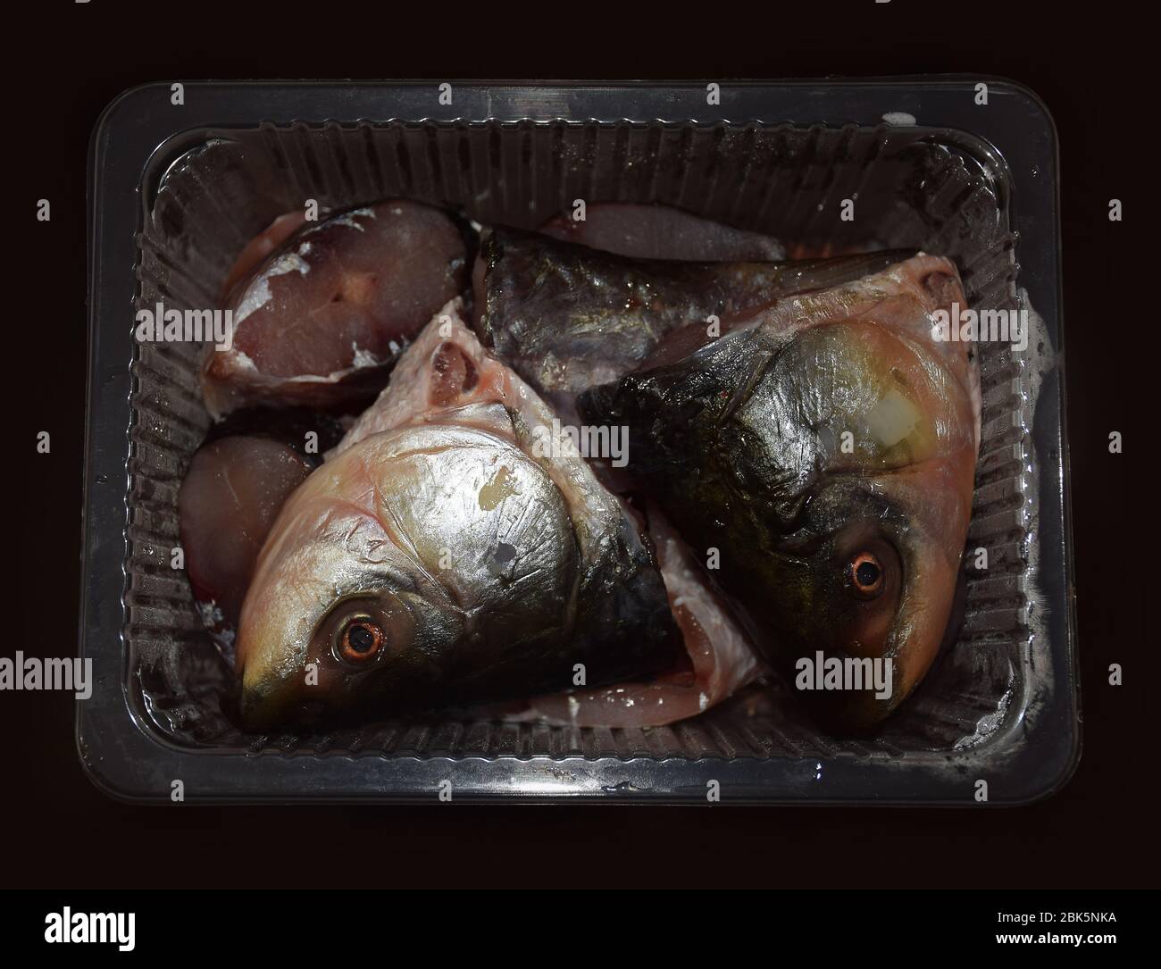 Verpackte rohe gefrorene Fischsteaks oder geschnittene Rohu-Fischstücke Stockfoto