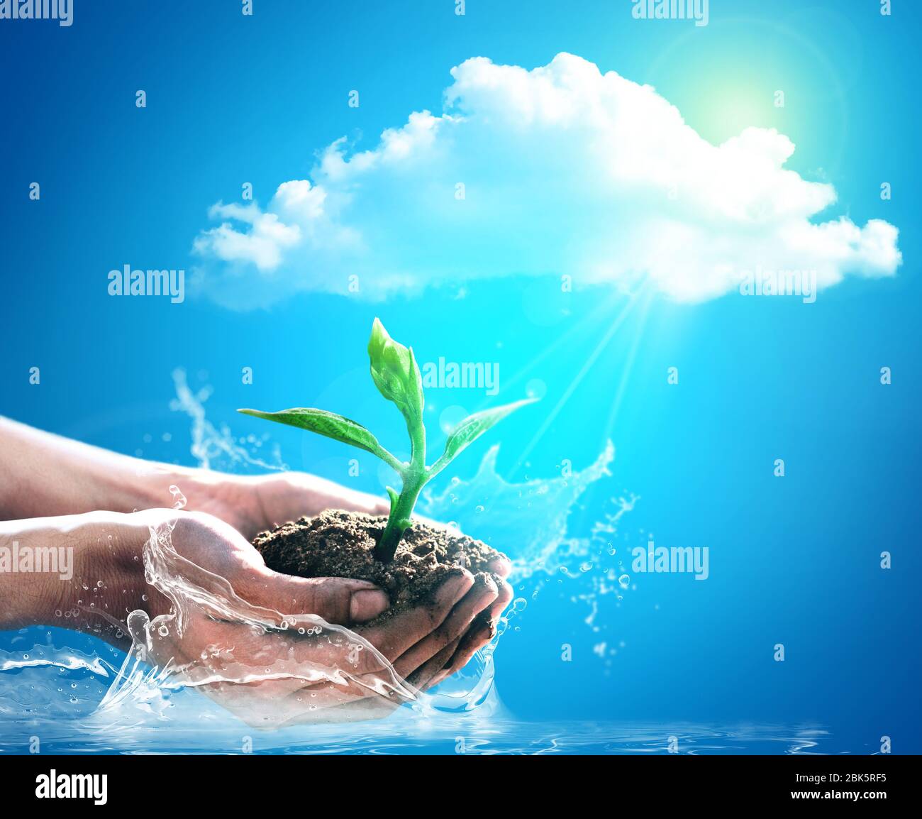 Konzeptionelle wesentliche Elemente für den Anbau von Kulturen mit Landwirt hält einen Sämling. Stockfoto