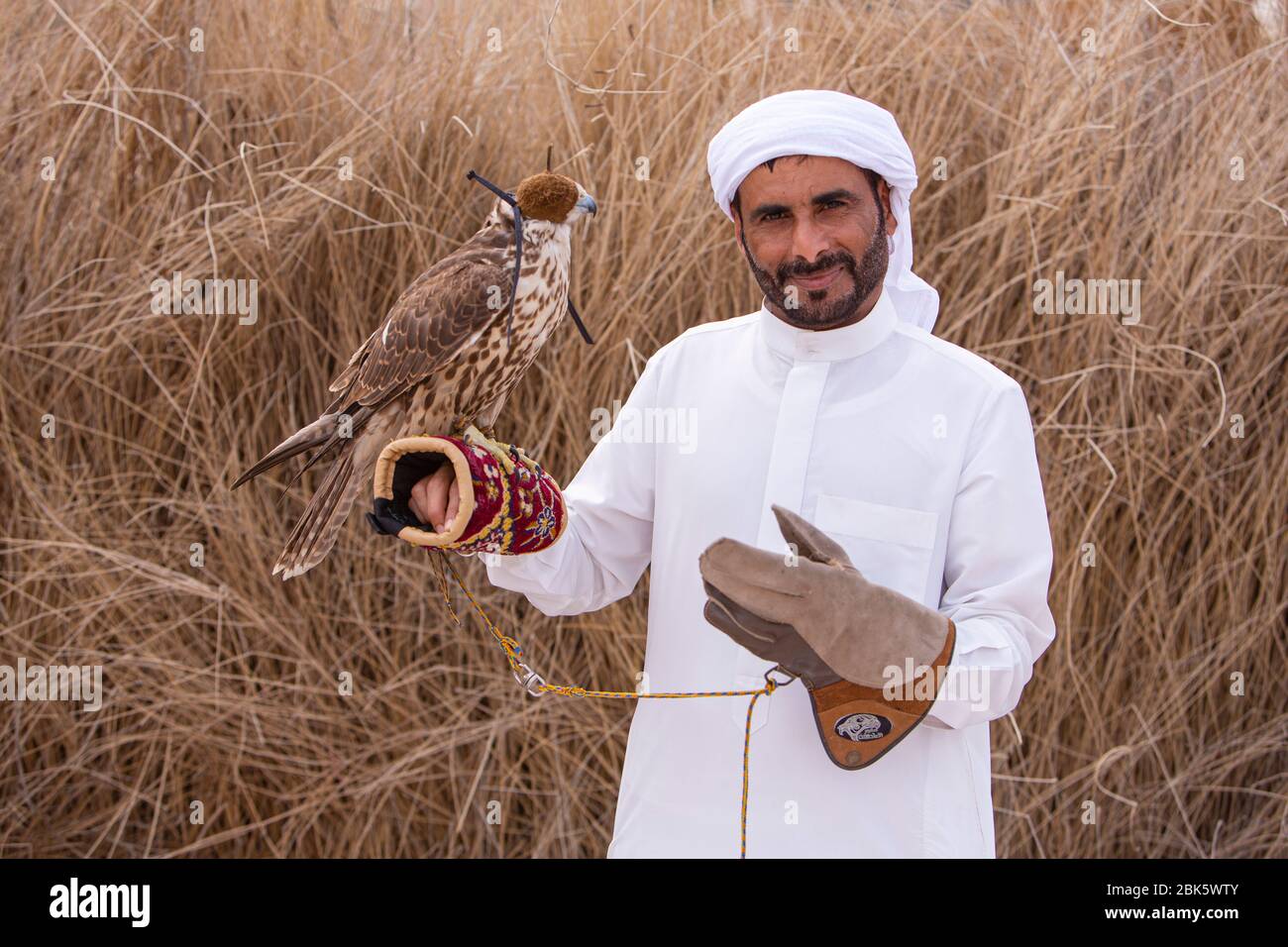 Falknerei im Dubai Desert Conservation Reserve, Dubai, Vereinigte Arabische Emirate Stockfoto