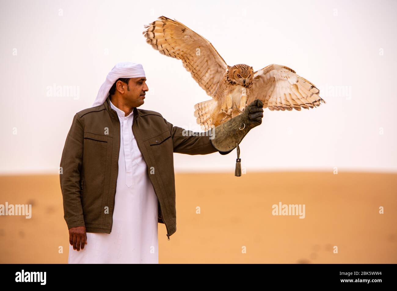 Desert Eagle Owl im Dubai Desert Conservation Reserve, Dubai, Vereinigte Arabische Emirate Stockfoto